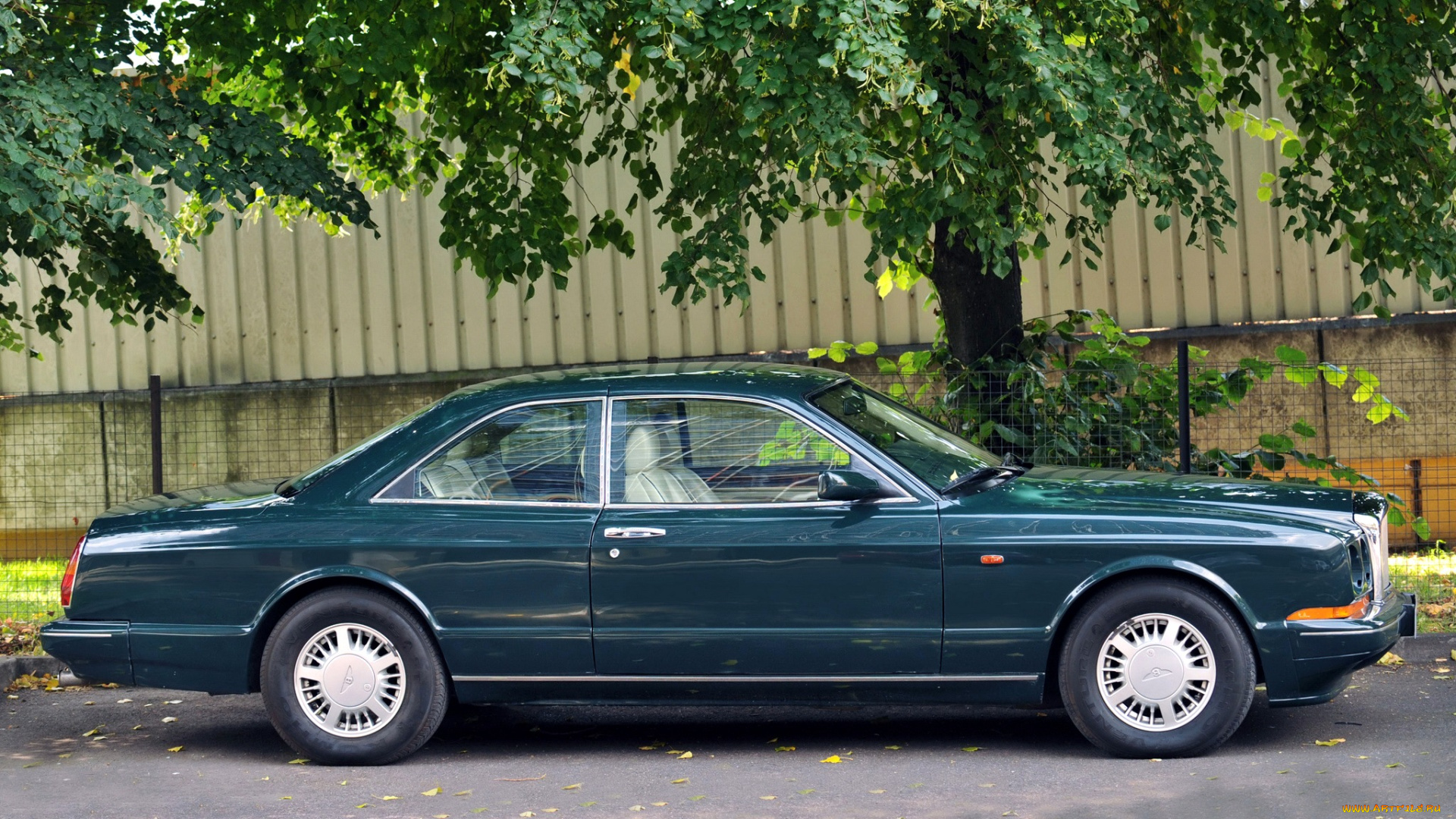 bentley, continental, автомобили