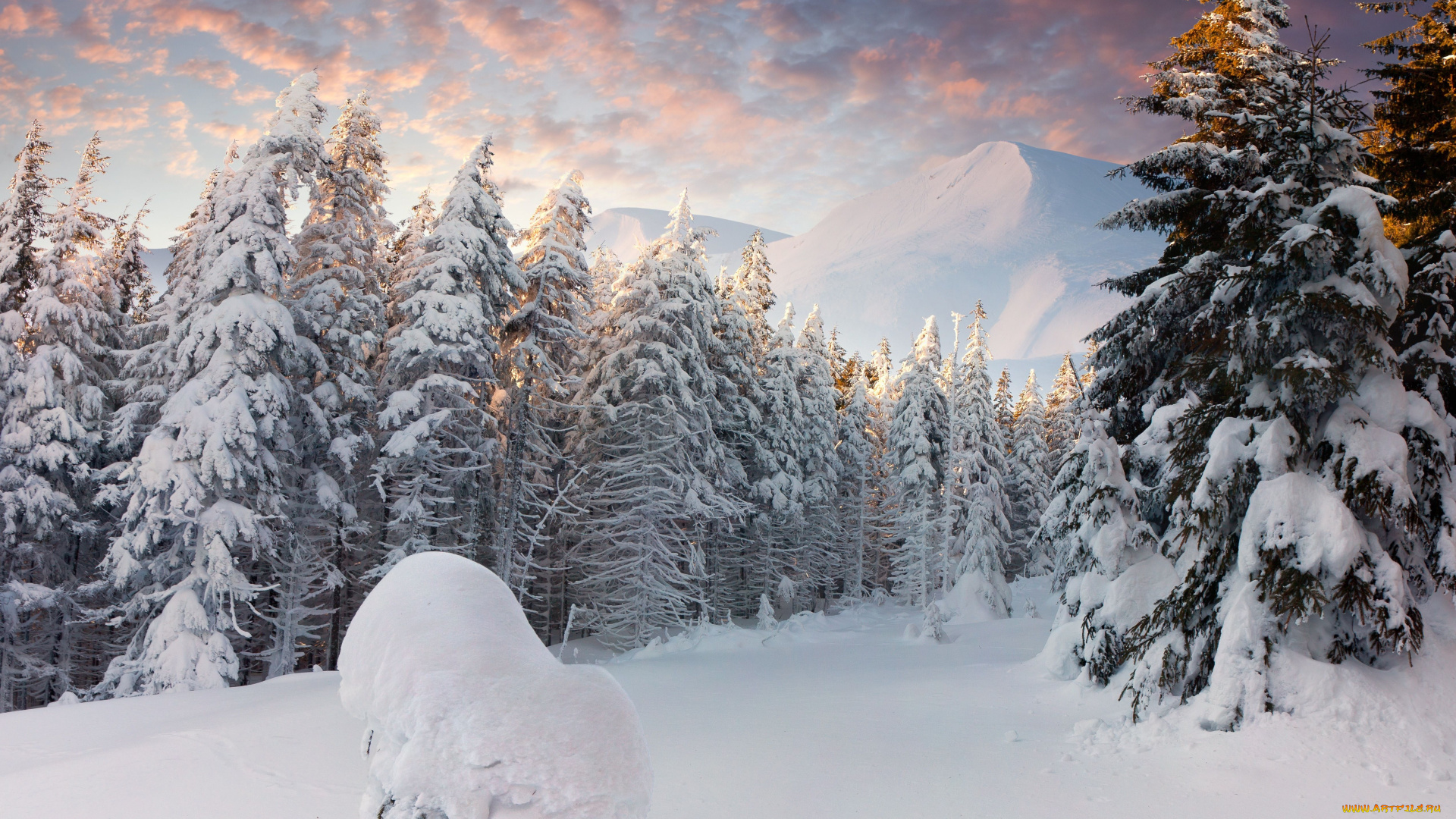 природа, зима, горы, ели, деревья, снег, лес