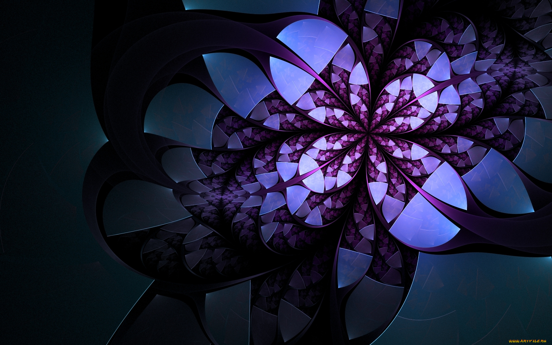 3д, графика, fractal, фракталы, тёмный, фон, белый, фиолетовый, цветок