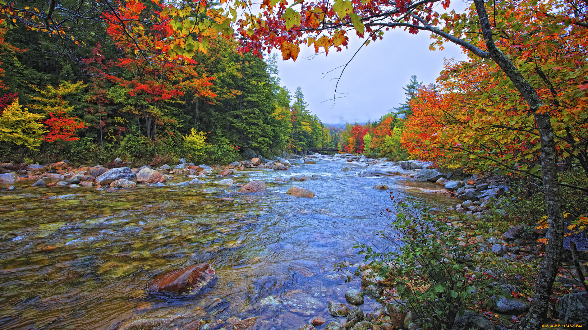 природа, реки, озера, краски, поток, осень, камни, река, лес