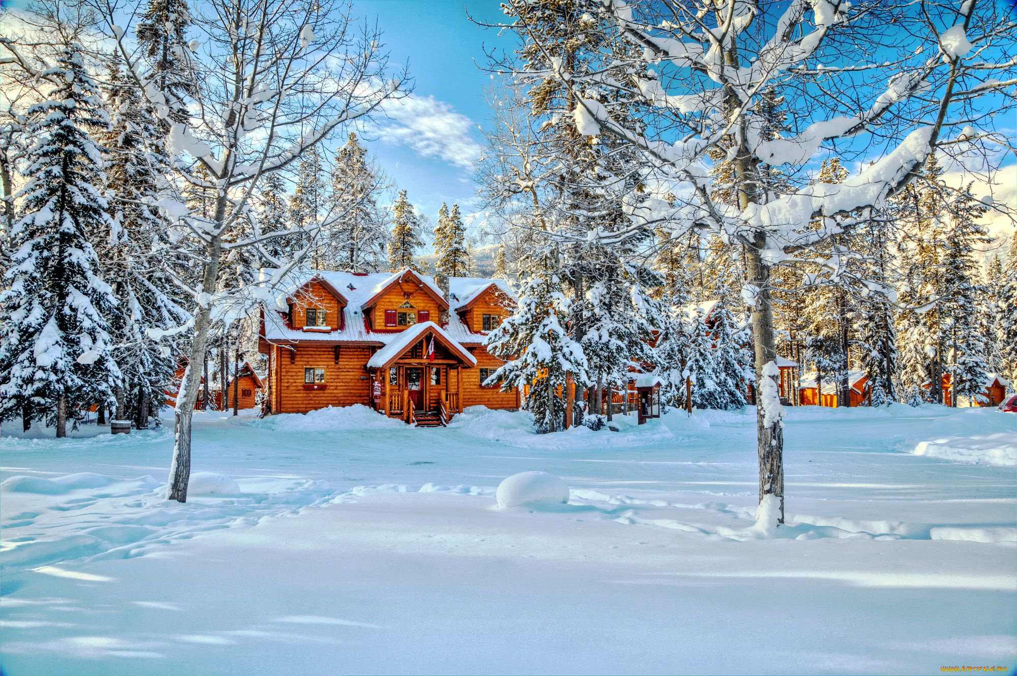 природа, зима, дом, снег, деревья