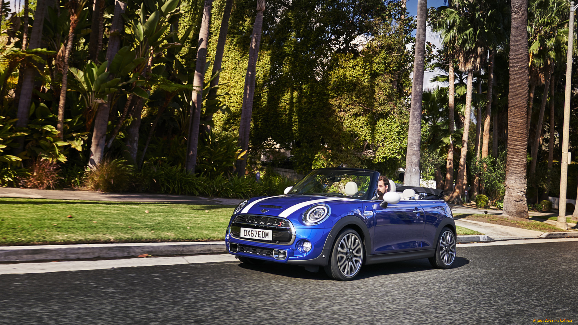 mini, cabrio, 2019, автомобили, mini, blue, 2019, cabrio