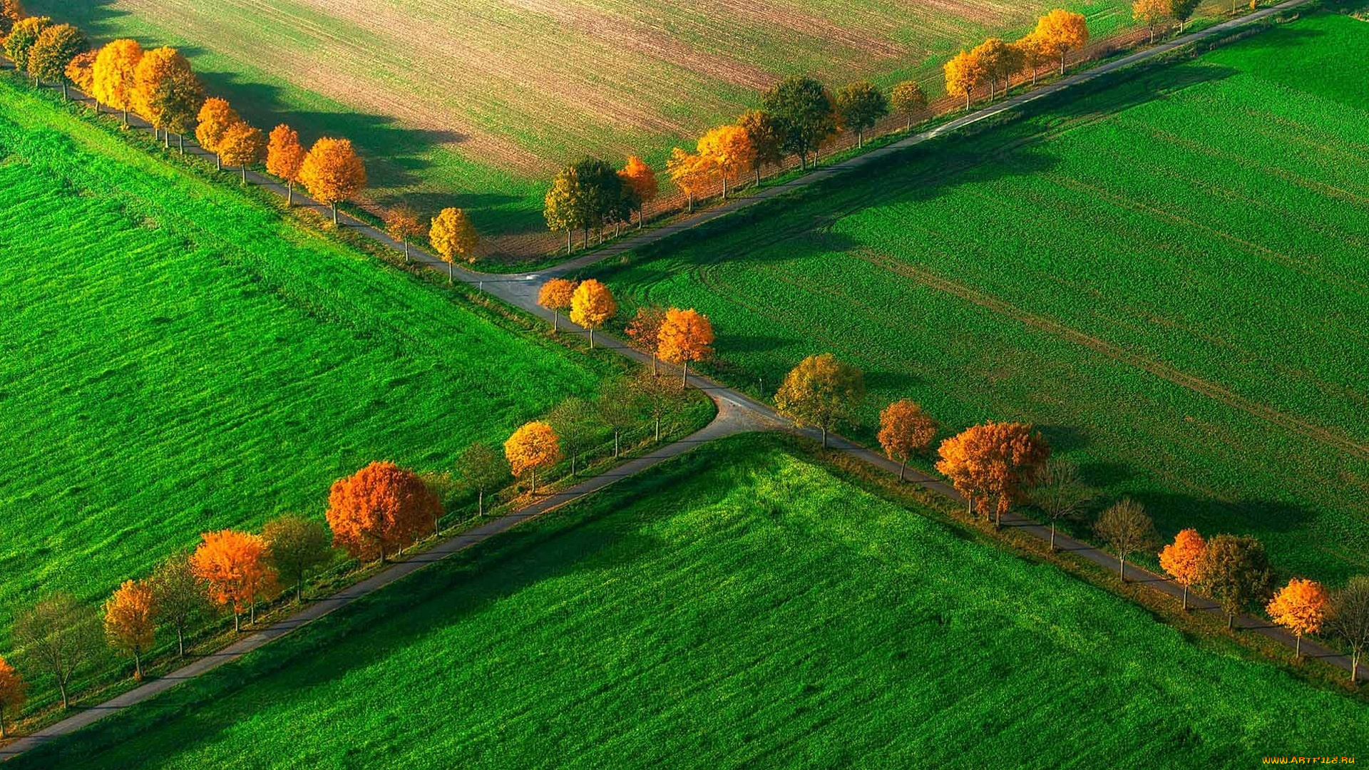 природа, поля, дороги, осень, зелень, деревья
