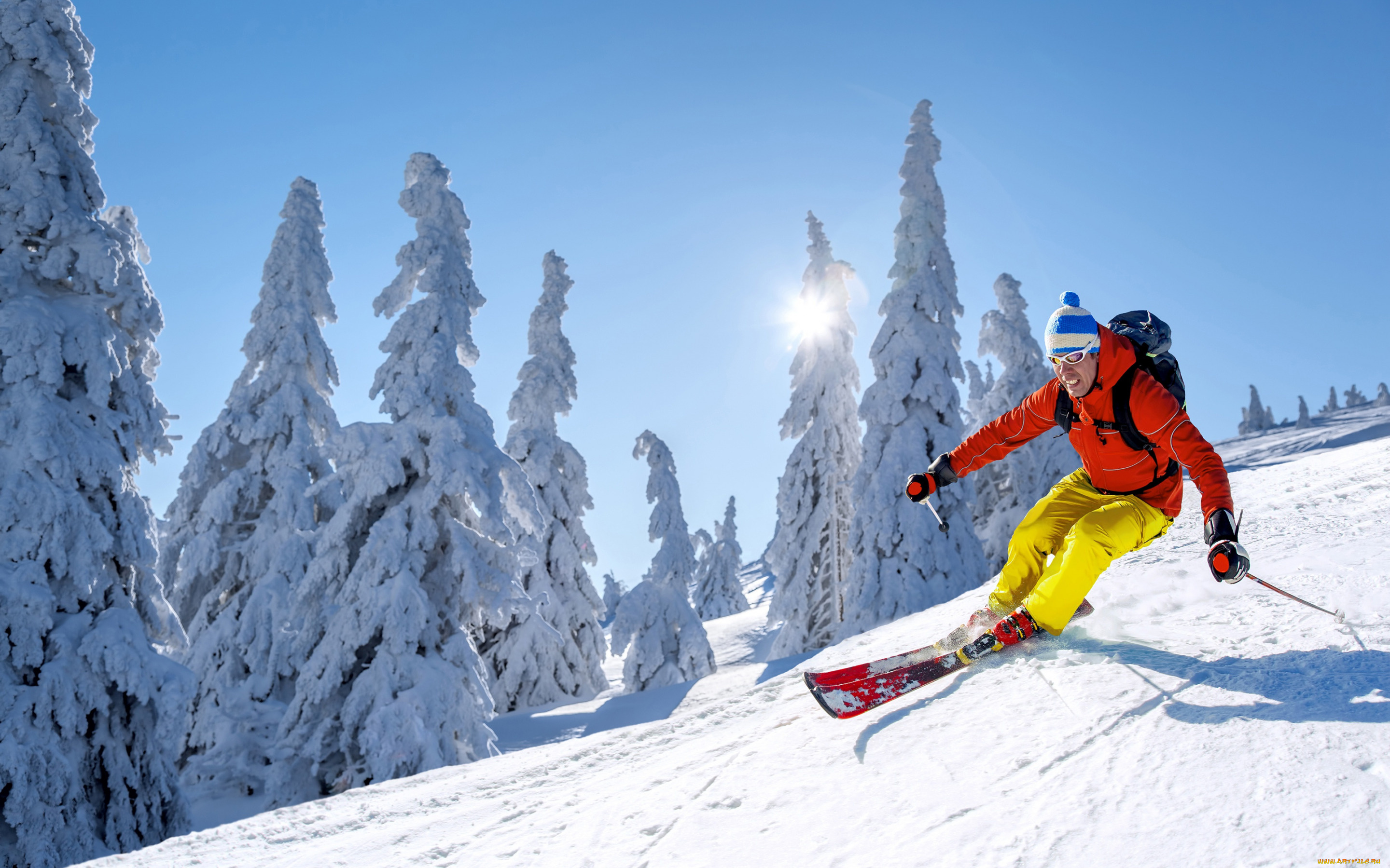 спорт, лыжный, спорт, небо, солнце, снег, зима, лыжи, шапка, спуск, деревья