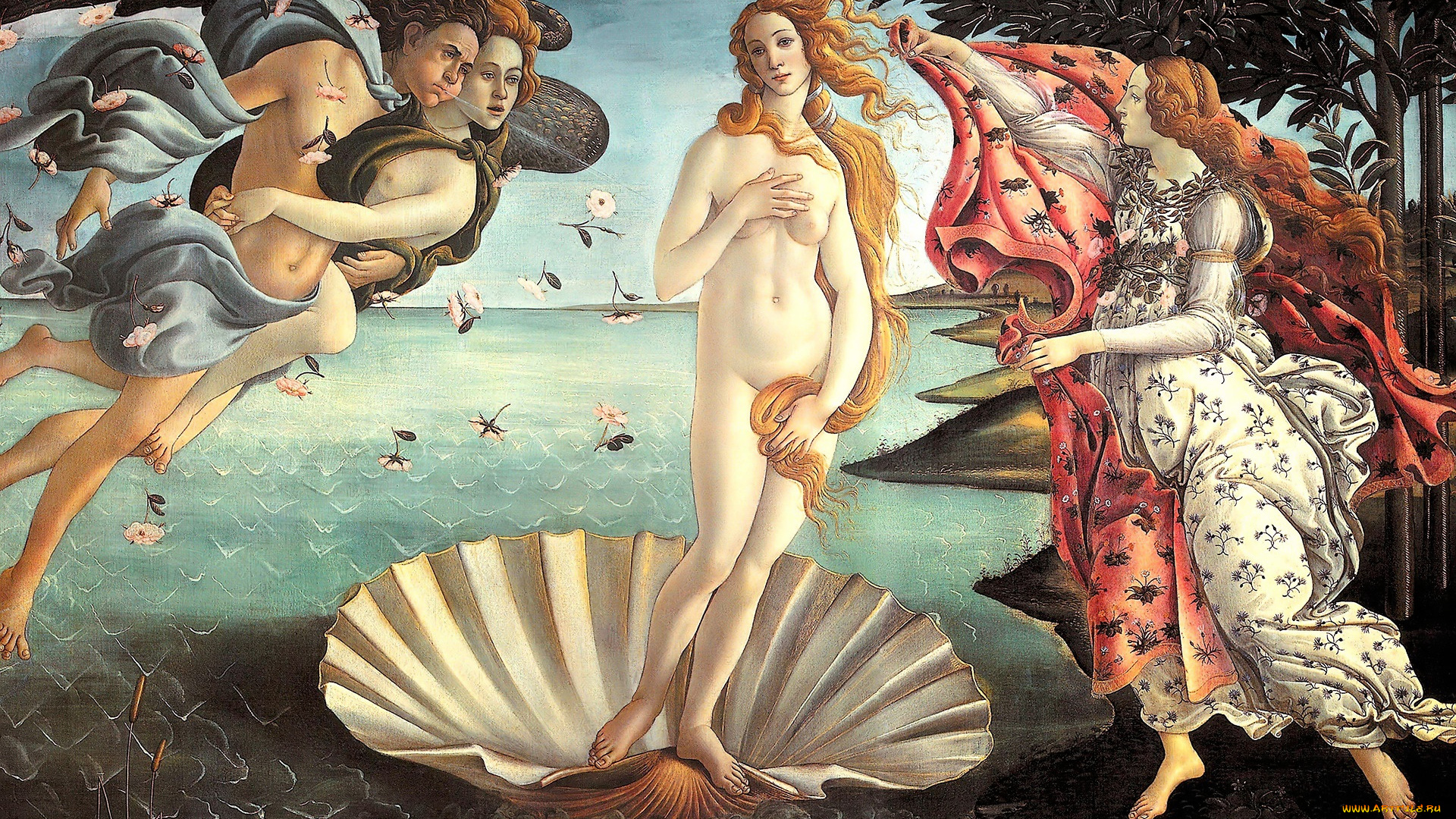 рисованное, sandro, botticelli, боги, венера, ветра, раковина
