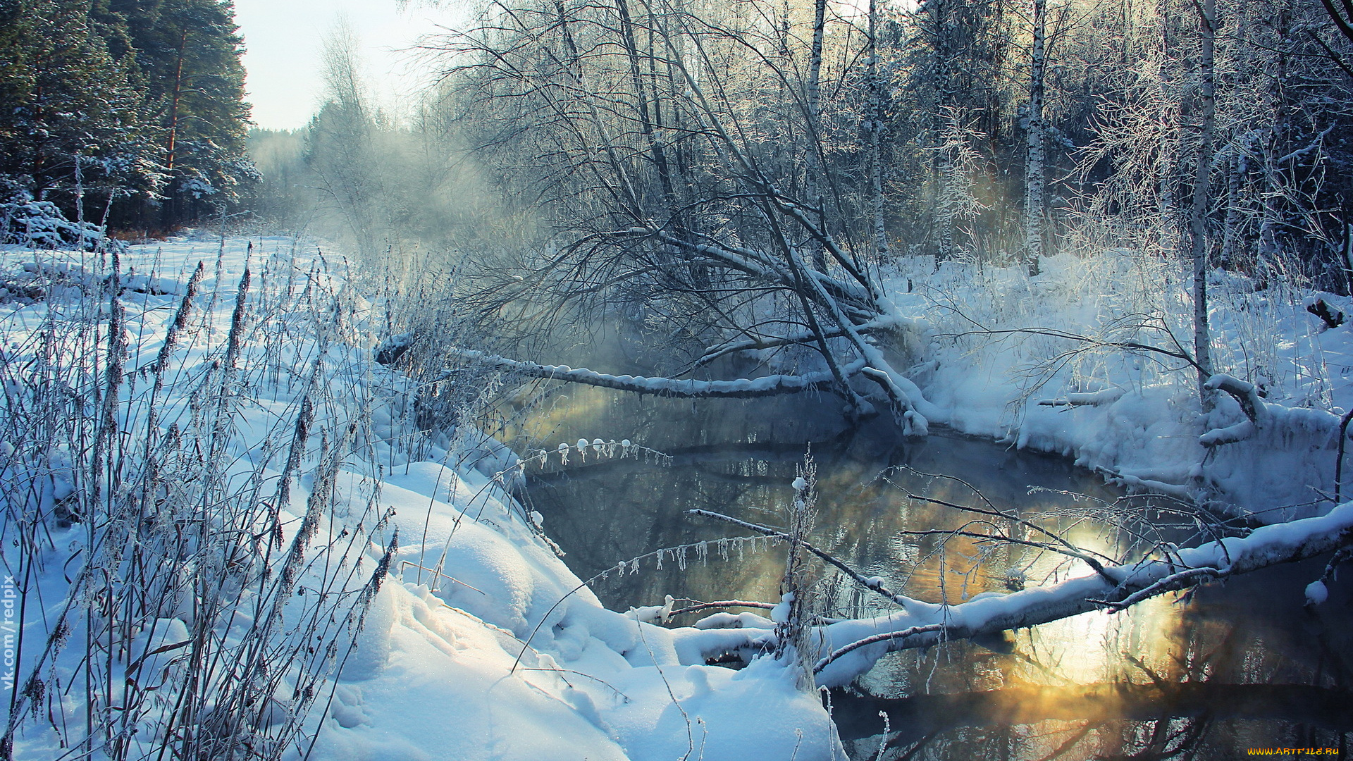 природа, зима, деревья, река, снег