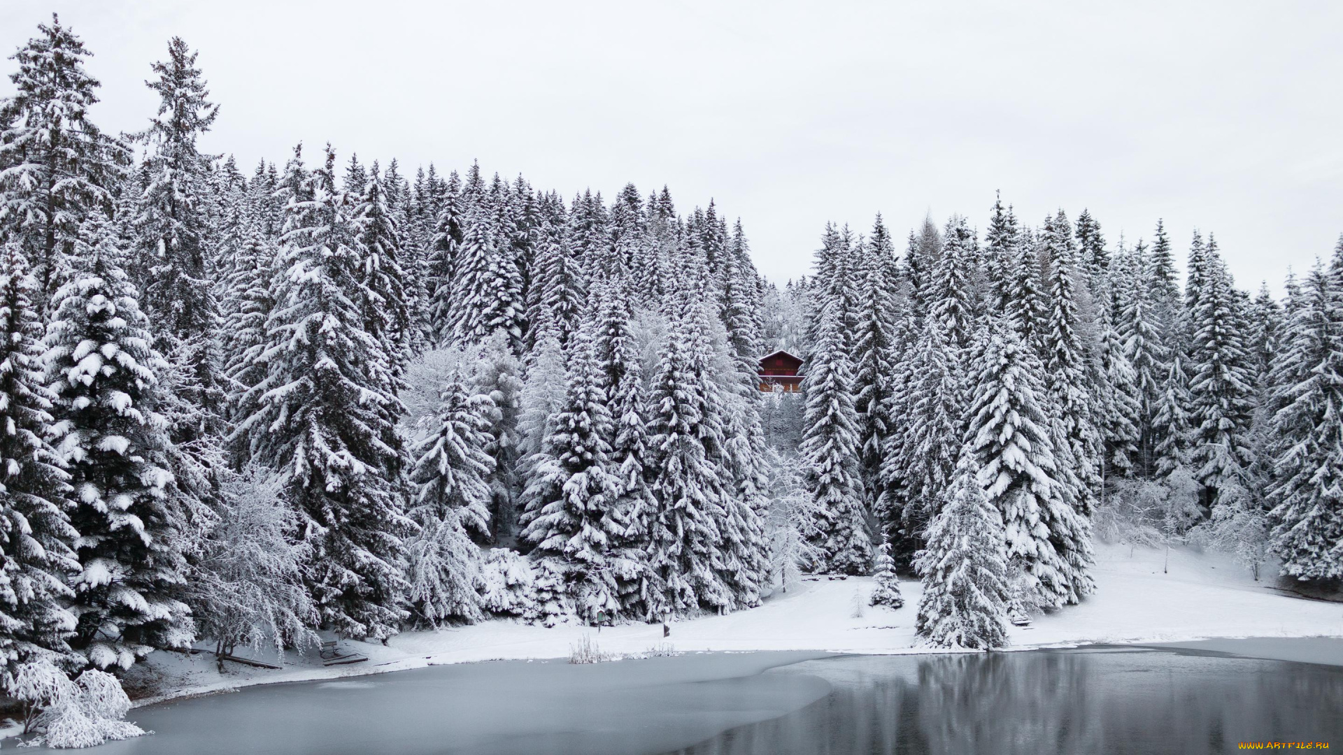 природа, зима, ели, деревья, лес, дом, озеро, снег