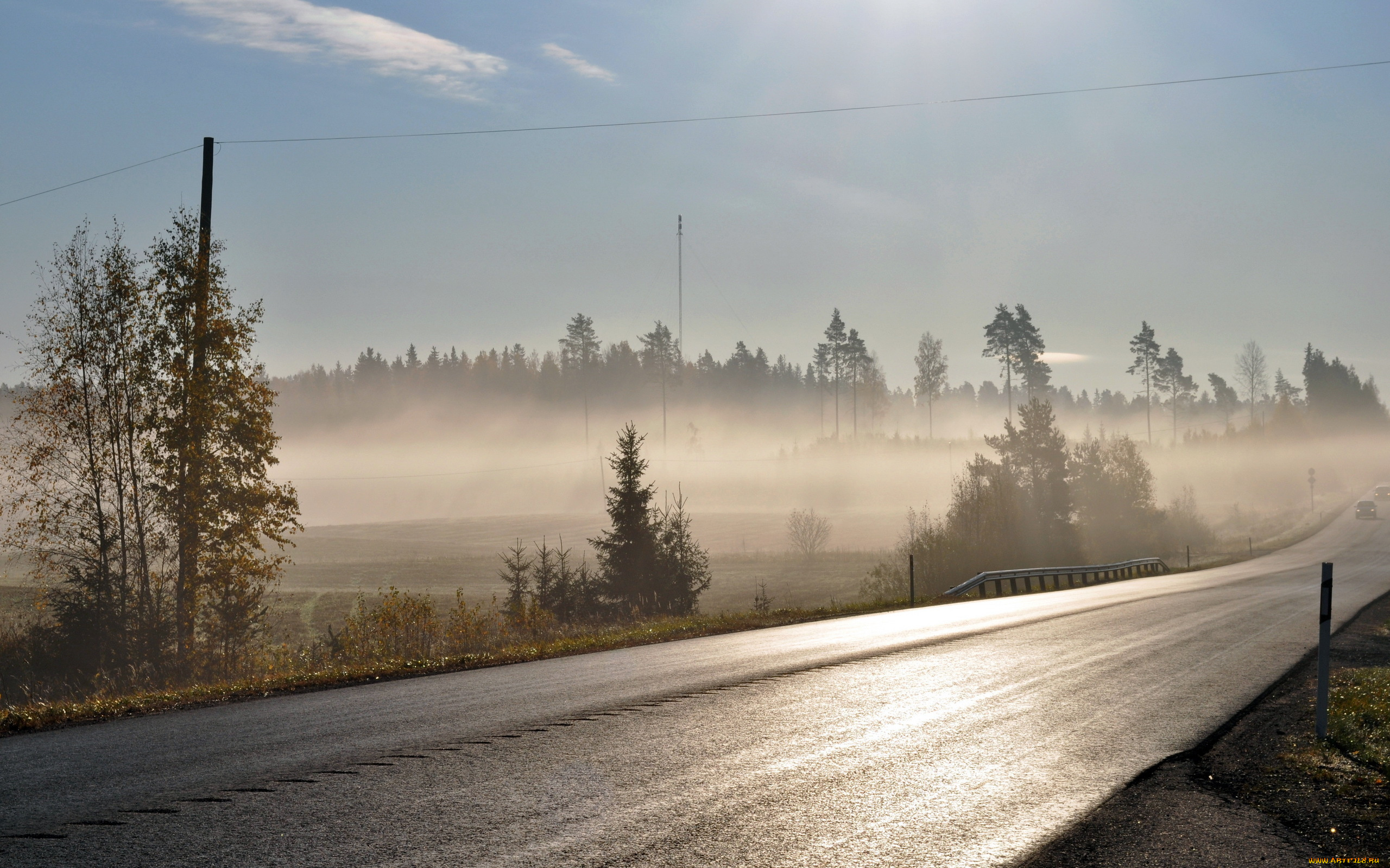 природа, дороги, туман, утро