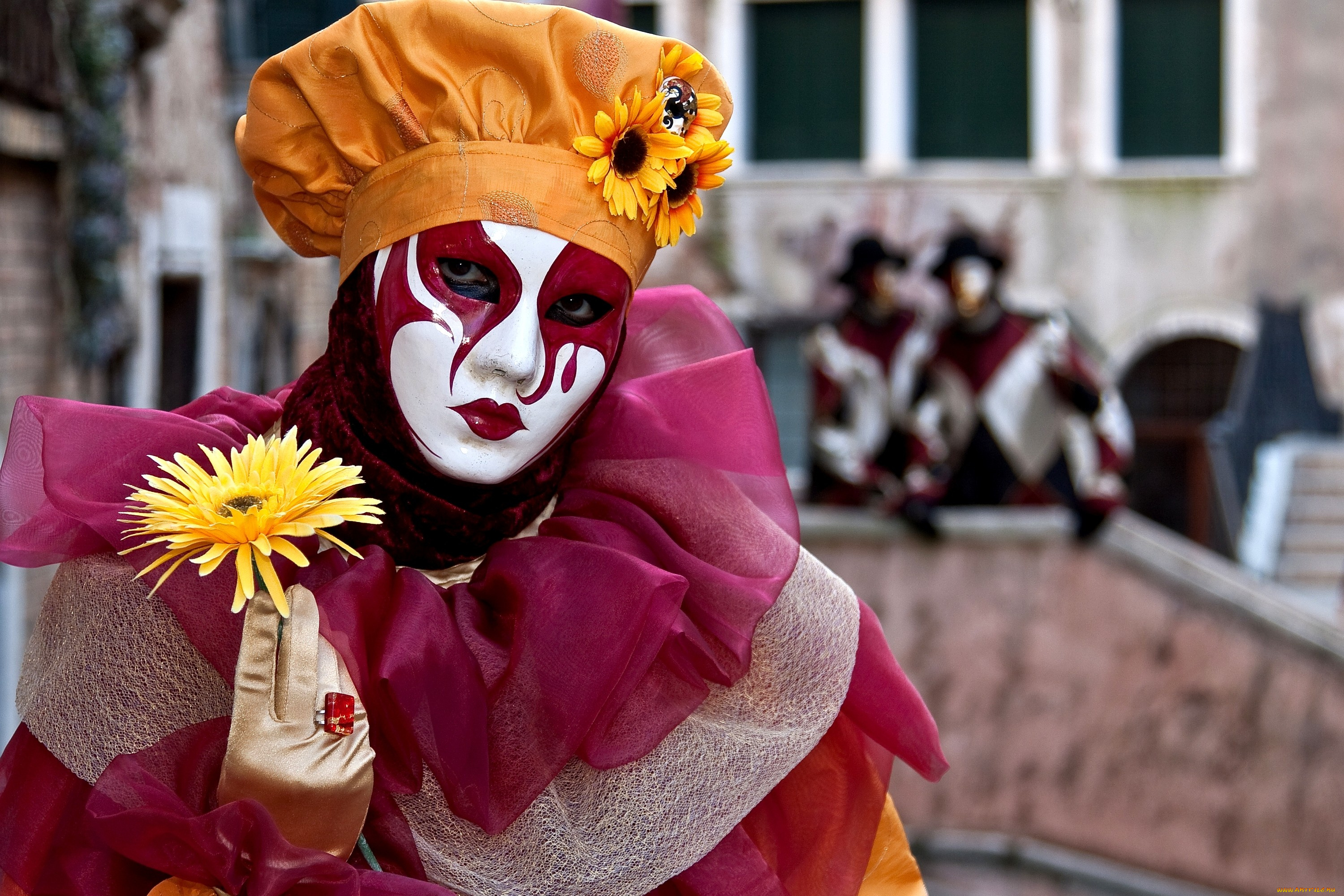 разное, маски, карнавальные, костюмы, цветок, карнавал, венеция