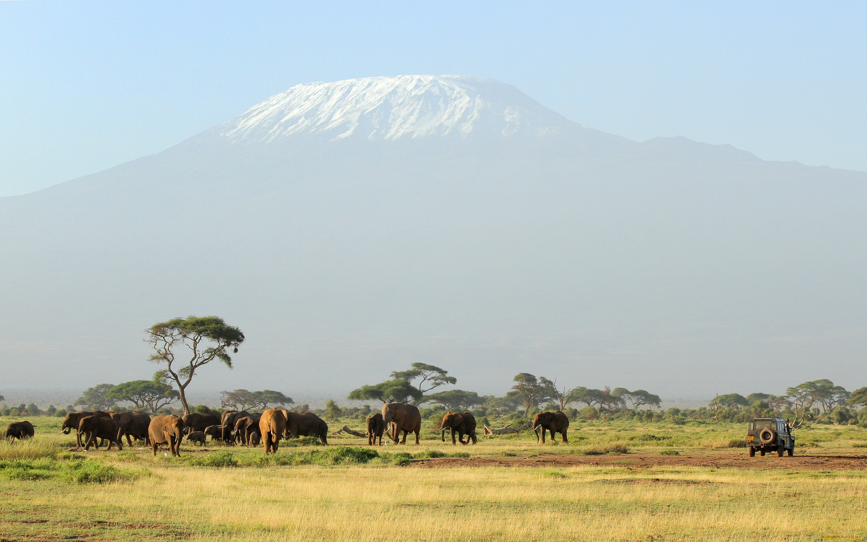 животные, слоны, unforgettable, safari, гора