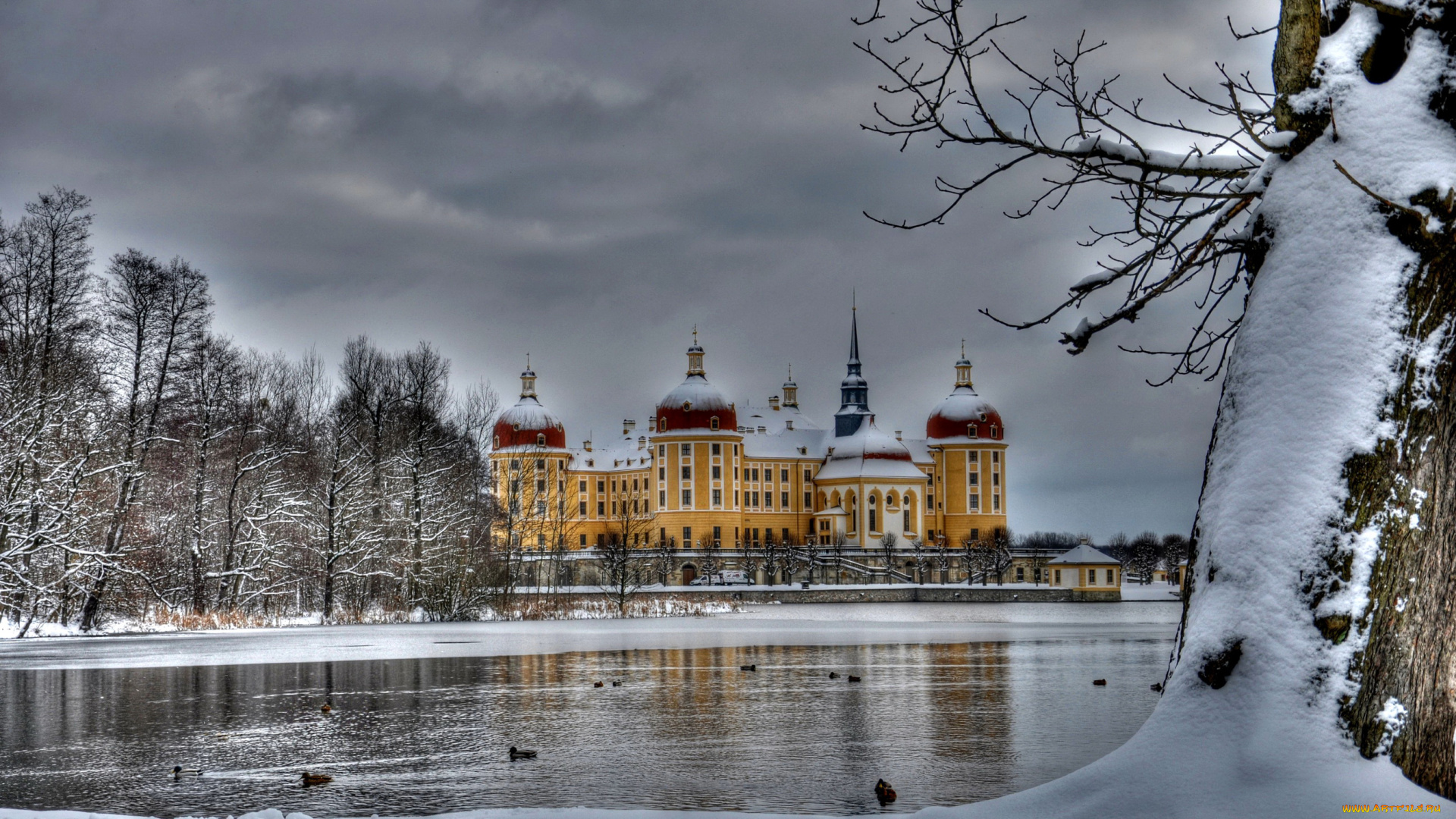 moritzburg, castle, германия, города, -, дворцы, , замки, , крепости, снег, река, зима, moritzburg, замок, германия, castle