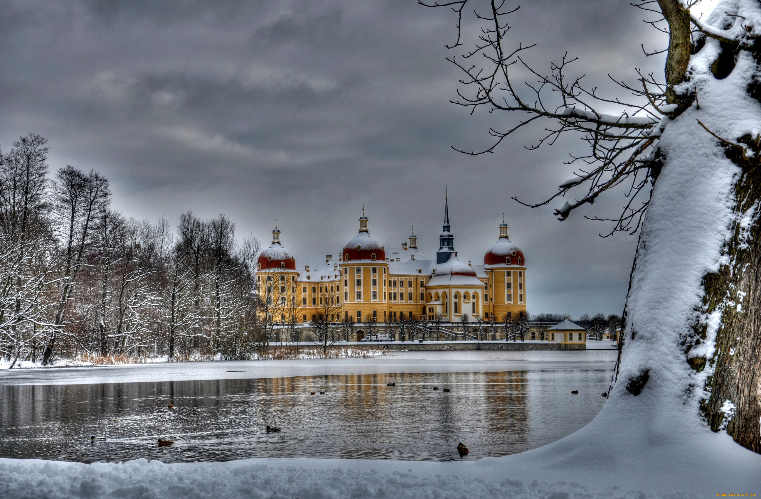 moritzburg, castle, германия, города, -, дворцы, , замки, , крепости, снег, река, зима, moritzburg, замок, германия, castle