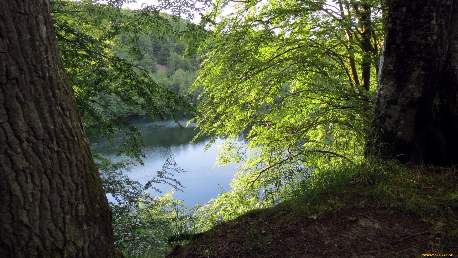 природа, реки, озера, зелень