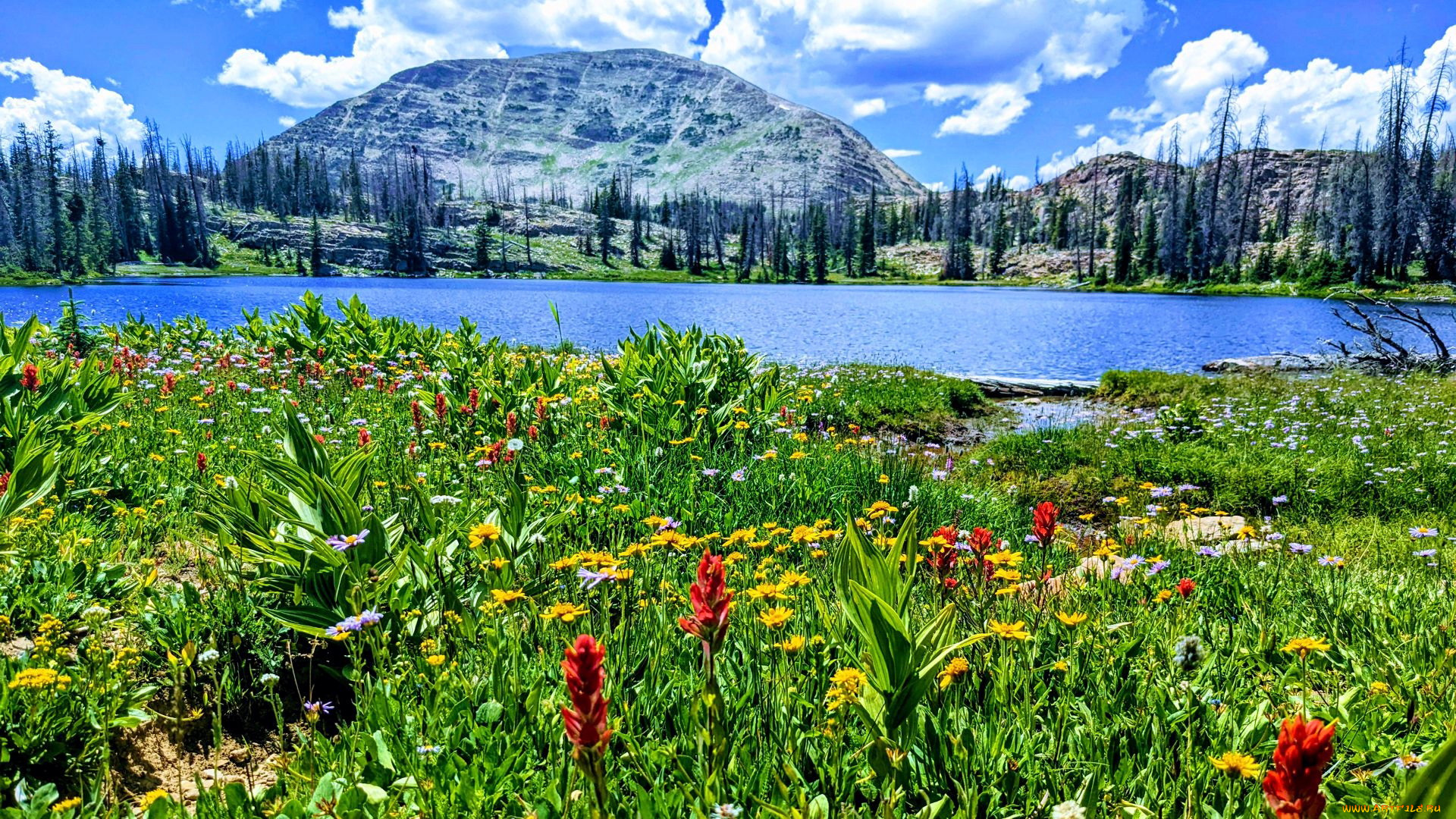 twin, lake, uinta, mountains, utah, природа, реки, озера, twin, lake, uinta, mountains