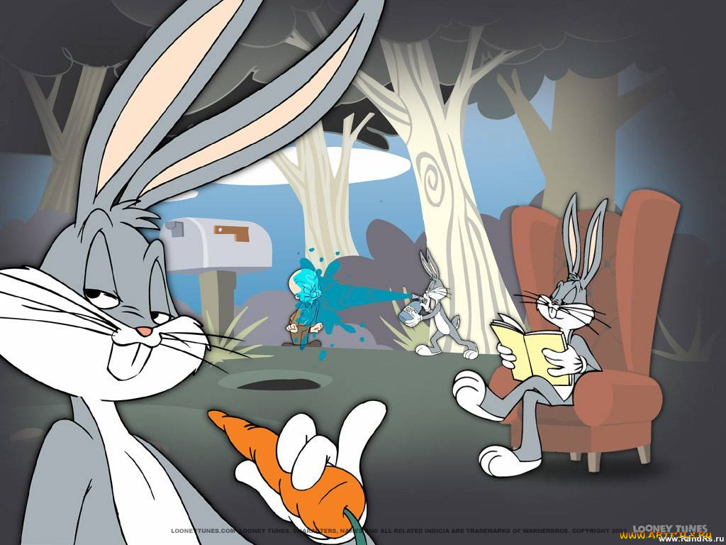 мультфильмы, looney, tunes