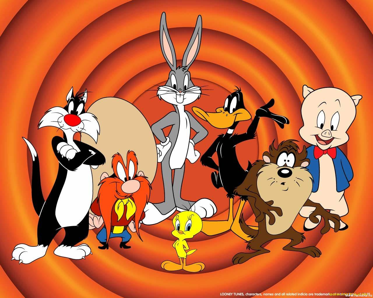 мультфильмы, looney, tunes