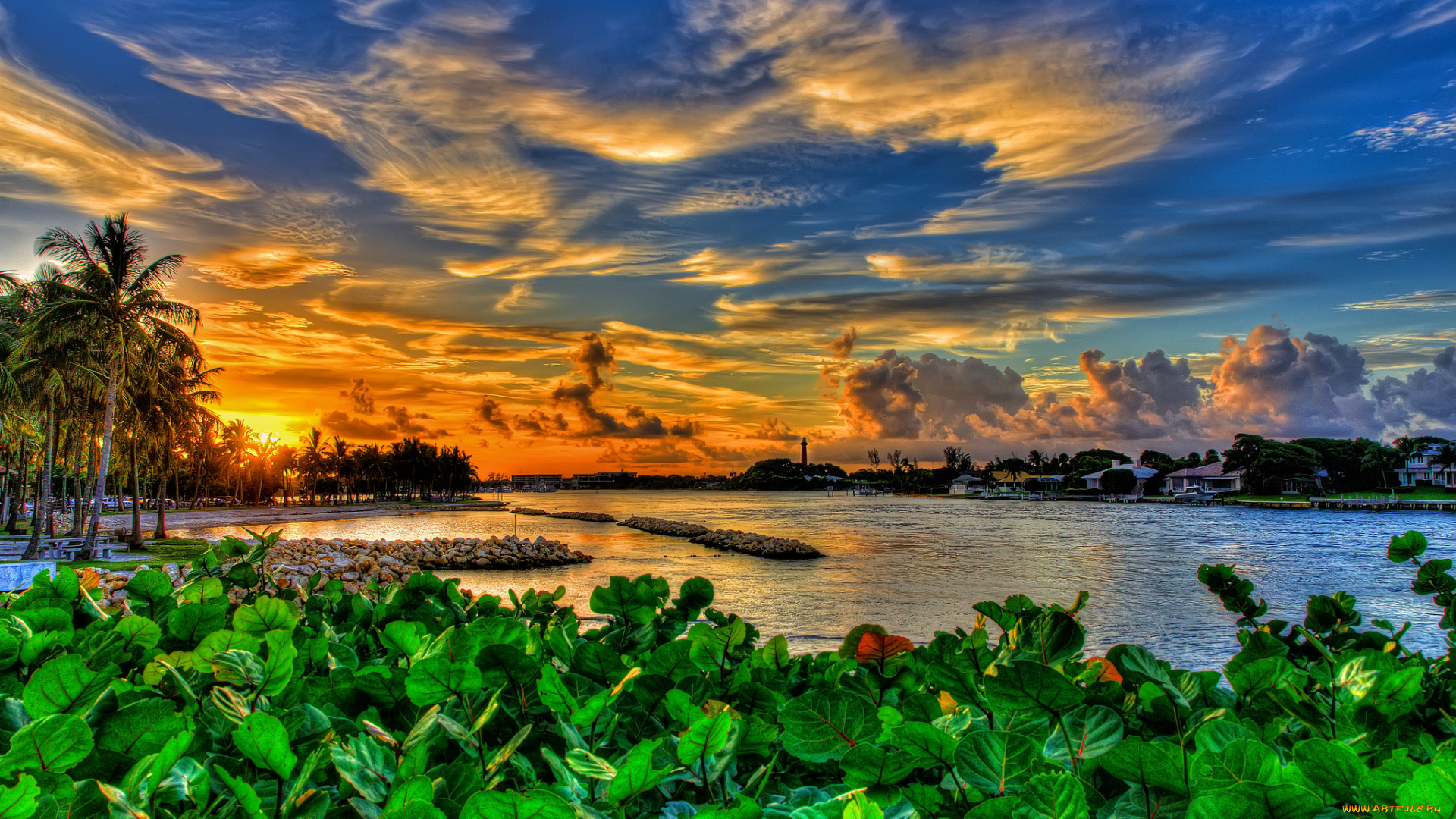 dubois, park, jupiter, florida, природа, парк, закат, флорида