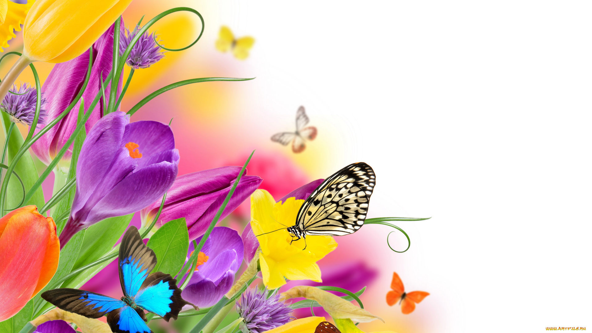 разное, компьютерный, дизайн, yellow, purple, spring, colorful, flowers, tulips, butterflies, весна, бабочки, тюльпаны, цветы, beautiful, fresh