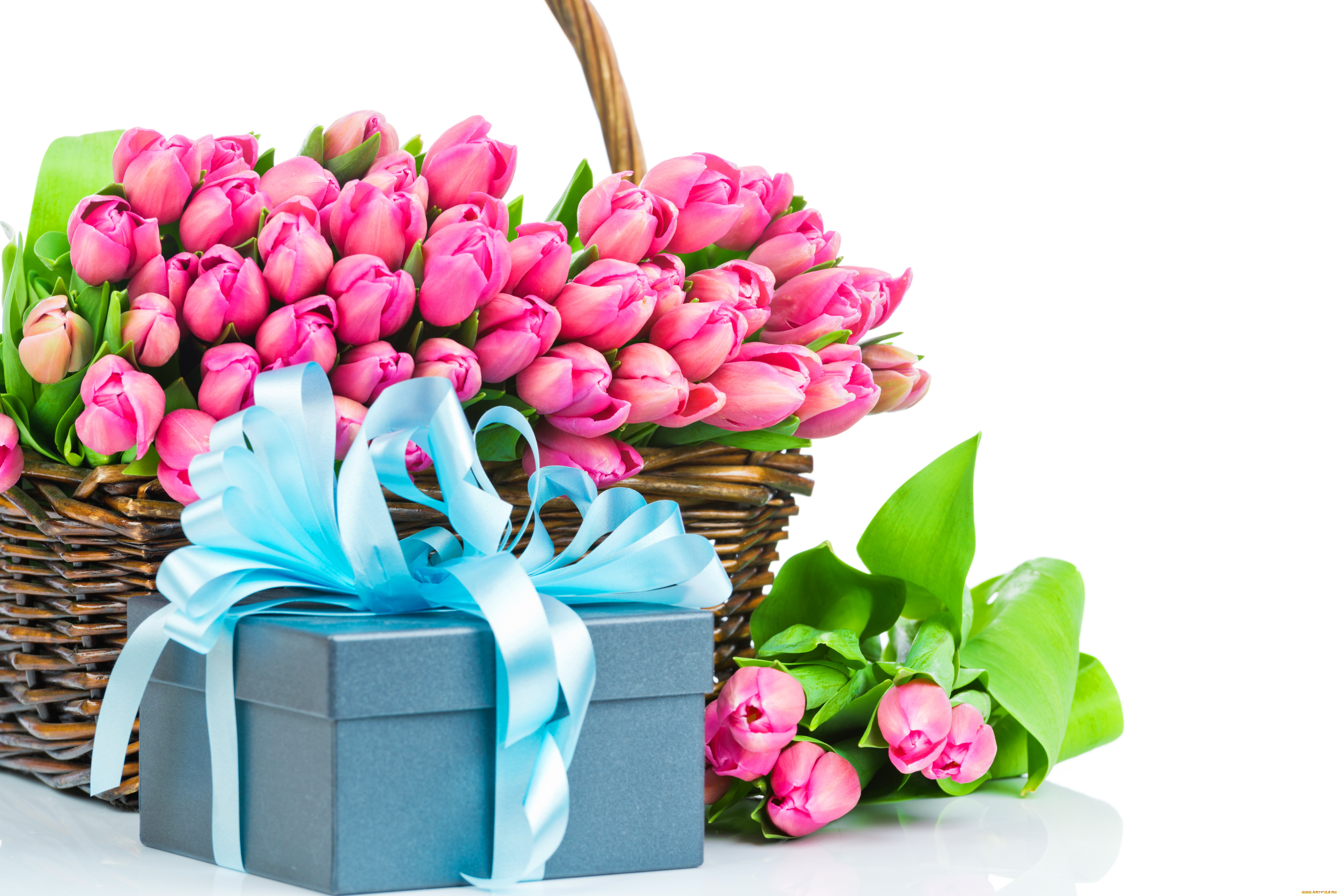 цветы, тюльпаны, подарок, бант