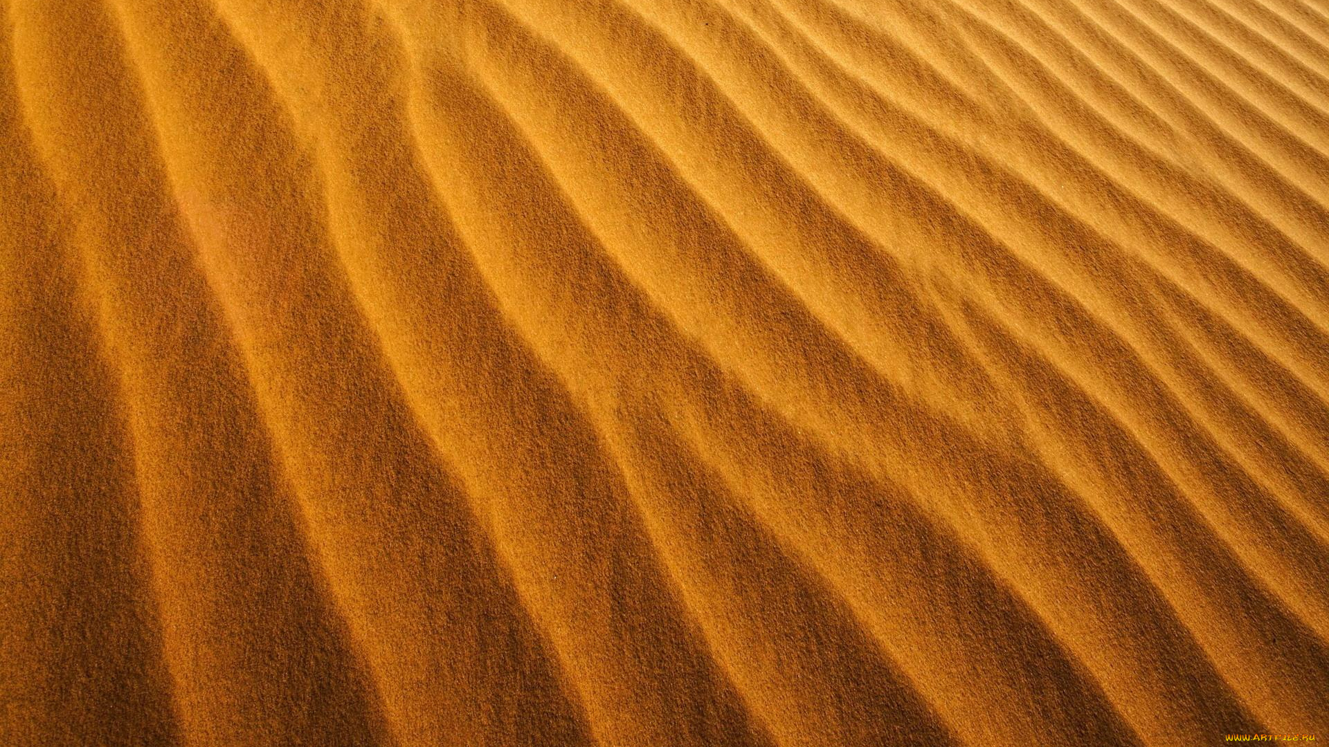 природа, пустыни, песок, дюны