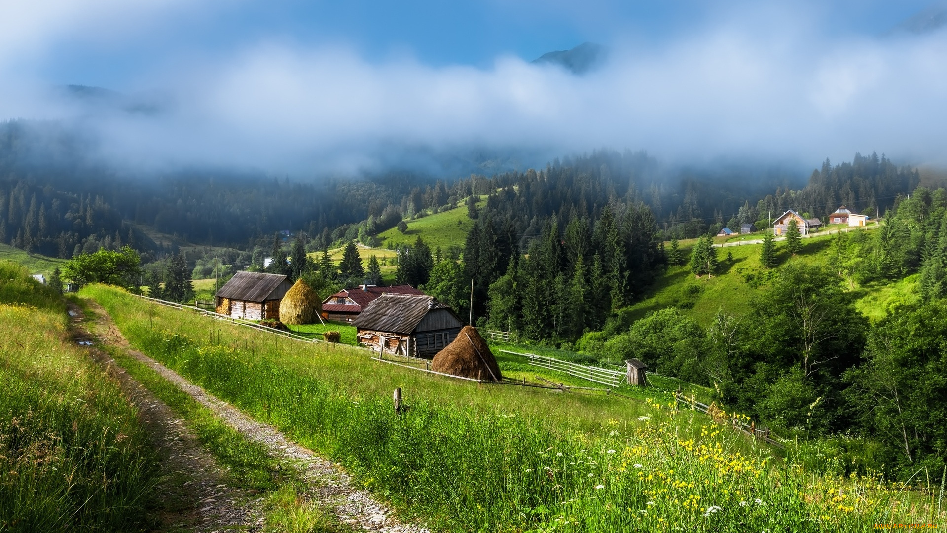 пейзаж, в, украинских, карпатах, природа, пейзажи, деревья, дорога, туман, село, горы