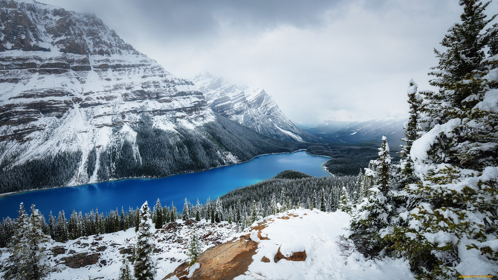 природа, зима, горы, снег, канада, озеро, peyto, лес