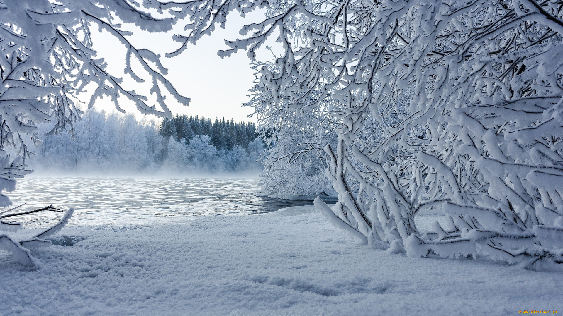природа, зима, снег, озеро, лес, деревья, кусты, ветки