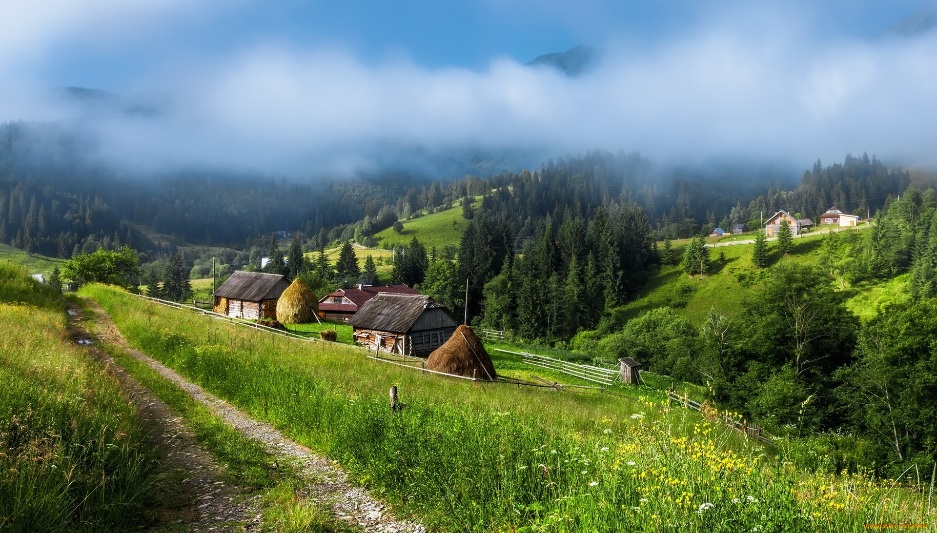 пейзаж, в, украинских, карпатах, природа, пейзажи, деревья, дорога, туман, село, горы