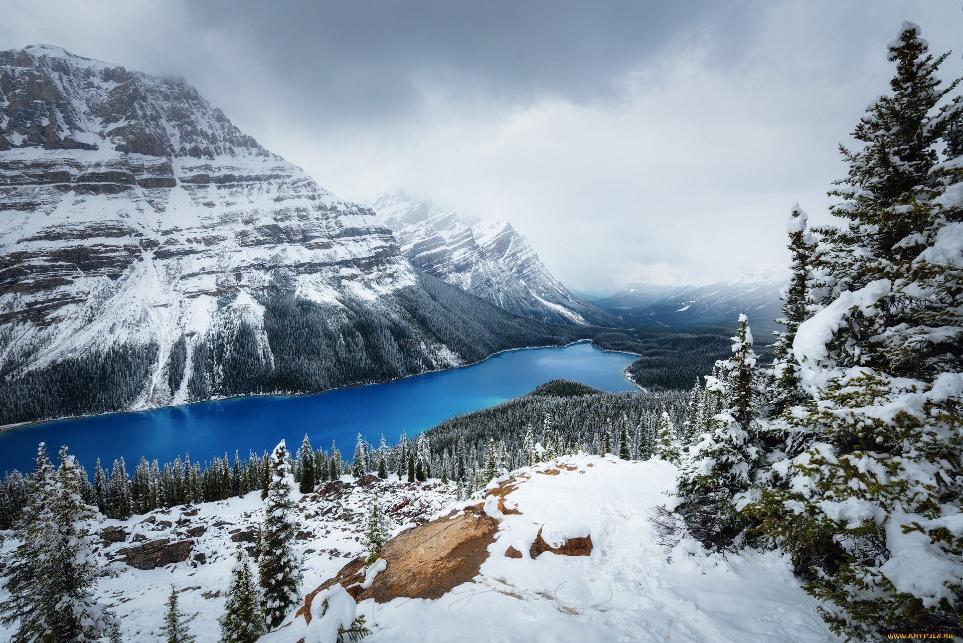 природа, зима, горы, снег, канада, озеро, peyto, лес