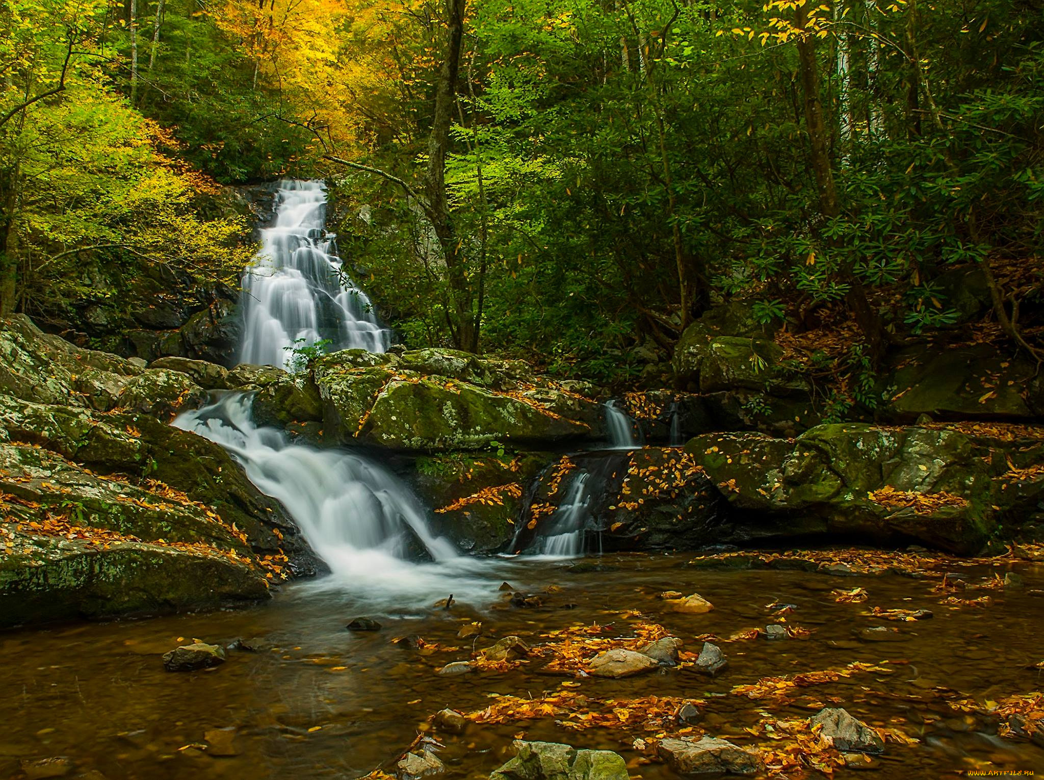 природа, водопады, водопад, река, лес