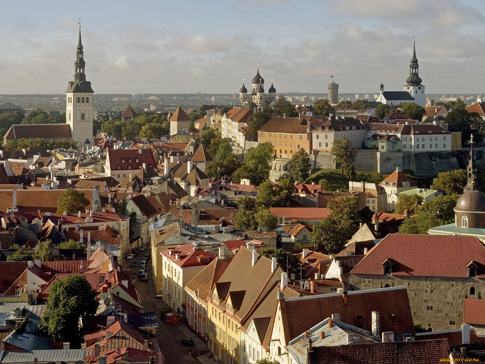 города, таллин, эстония