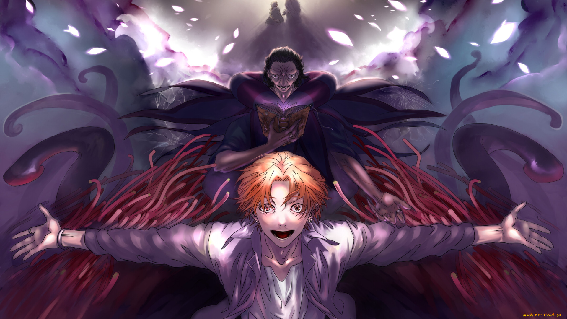 аниме, fate, zero