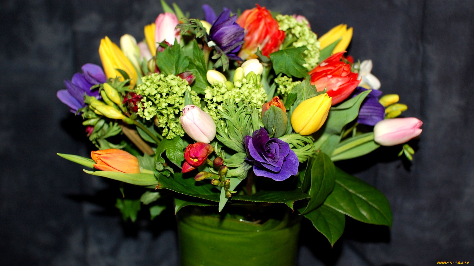 цветы, букеты, композиции, анемоны, тюльпаны, пестрый