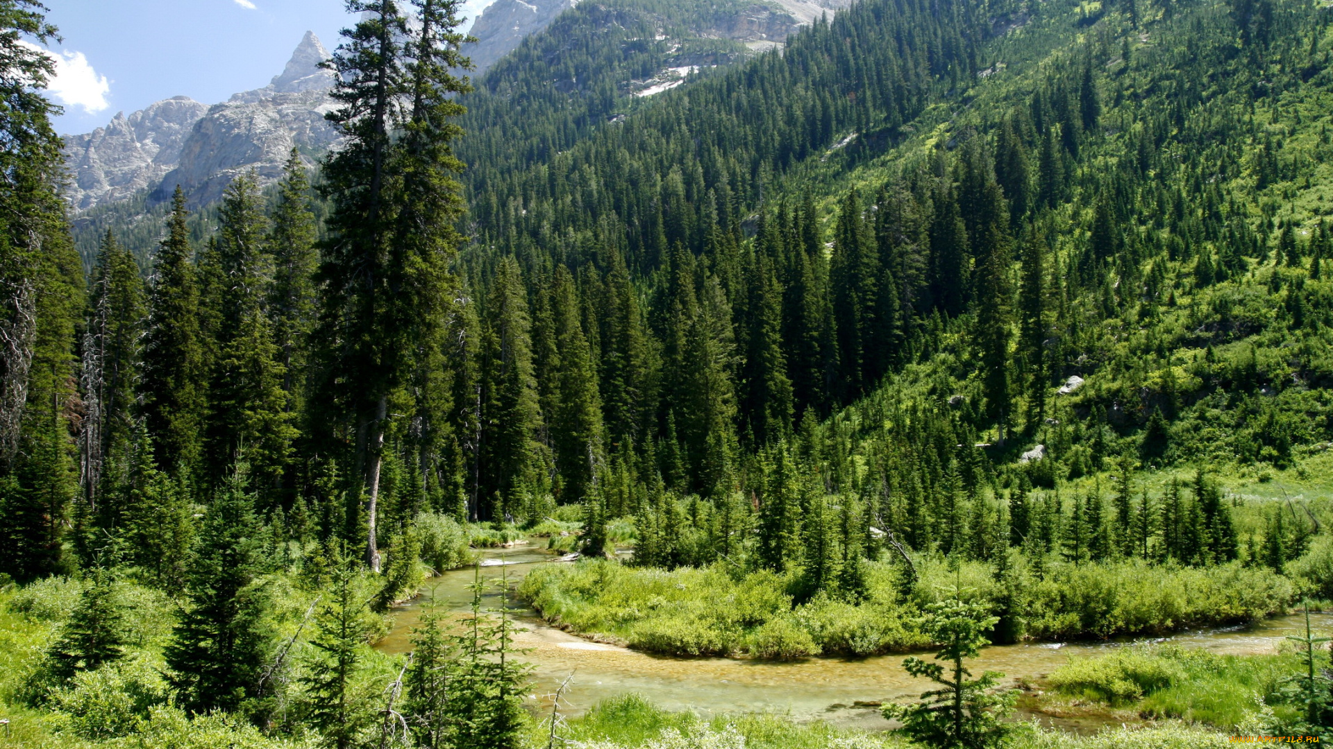 природа, деревья, usa, wyoming, cascade, canyon, grand, teton, national, park