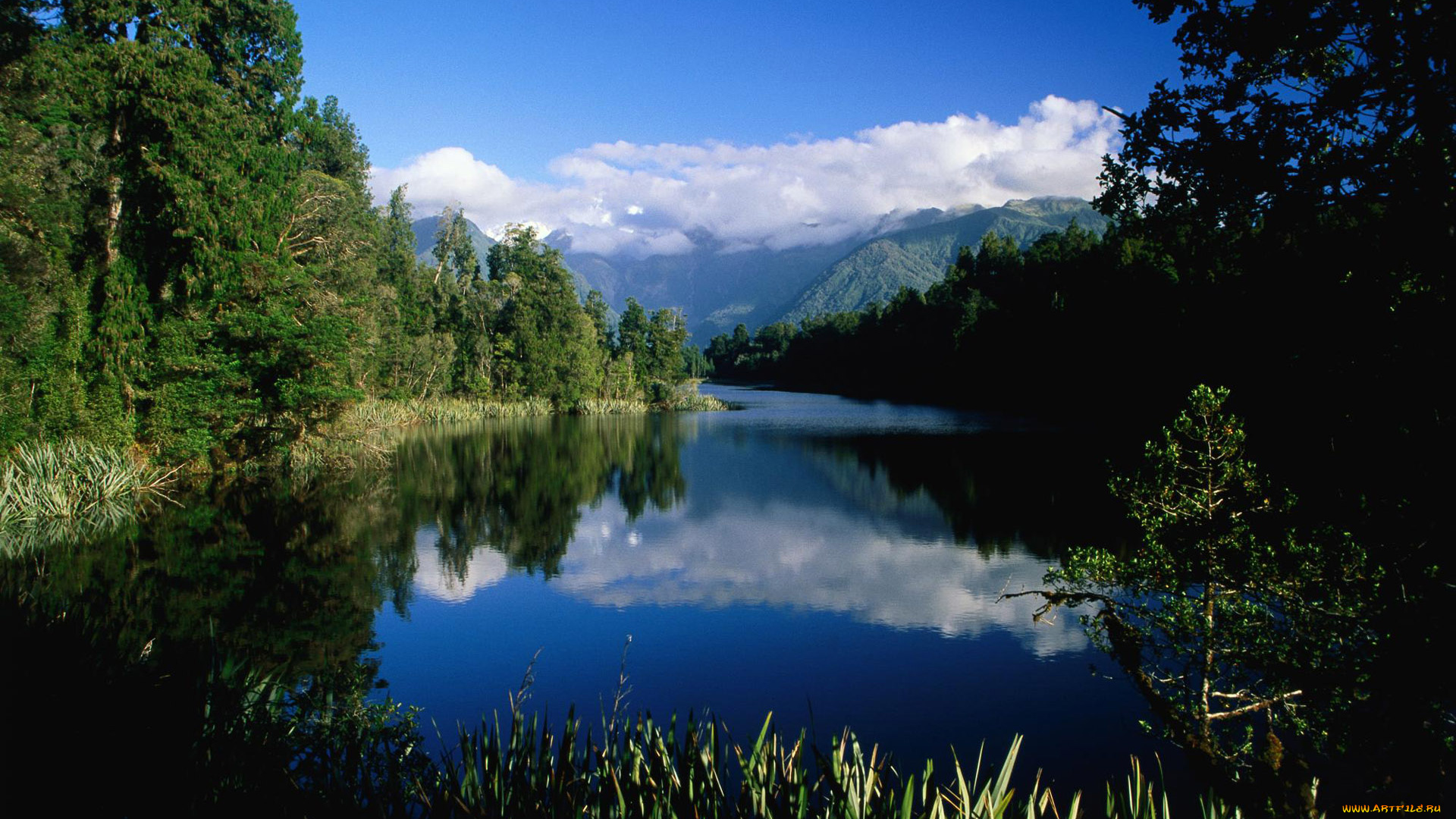 природа, реки, озера, лес, река, пейзаж, деревья, отражение, облака, горы