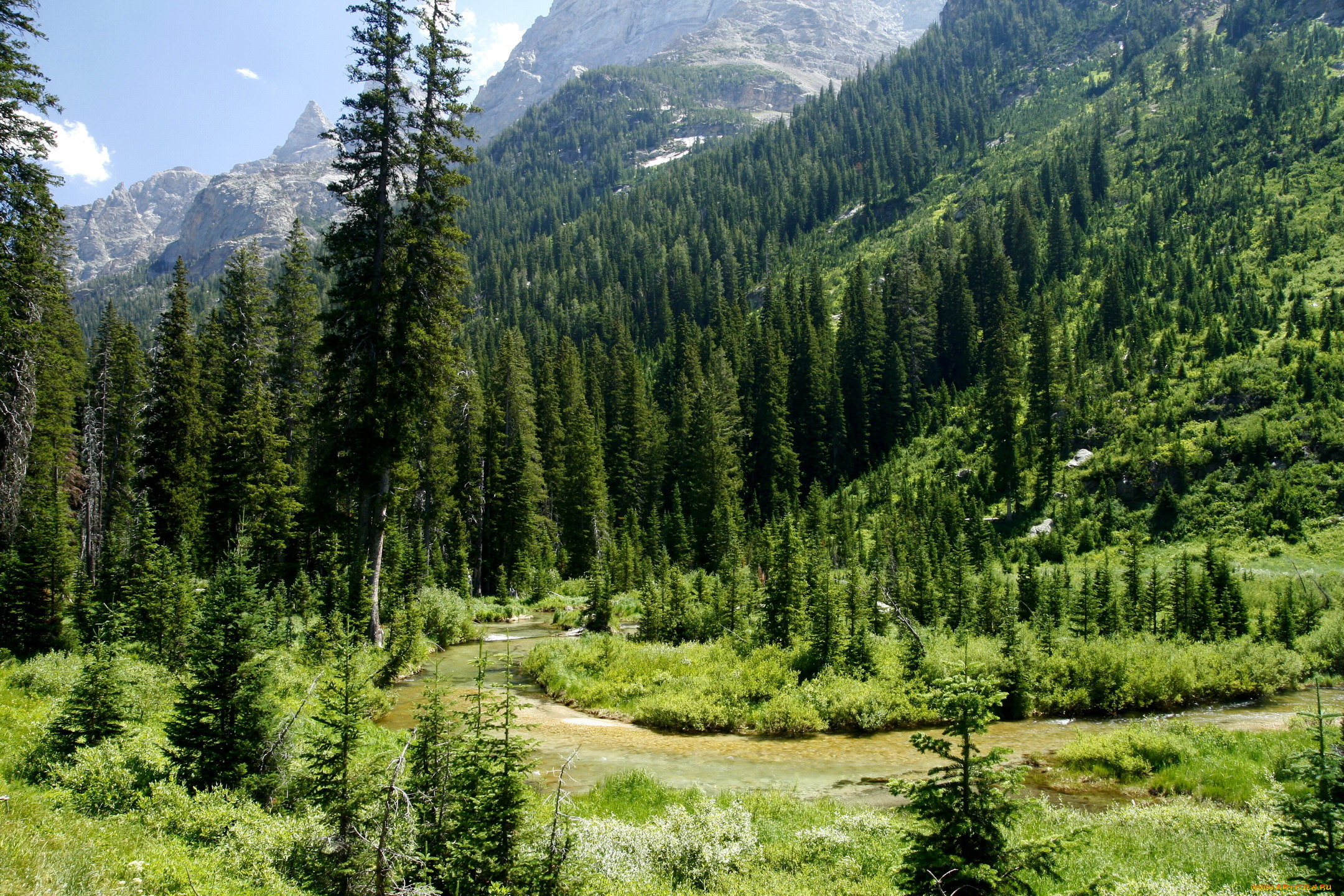 природа, деревья, usa, wyoming, cascade, canyon, grand, teton, national, park