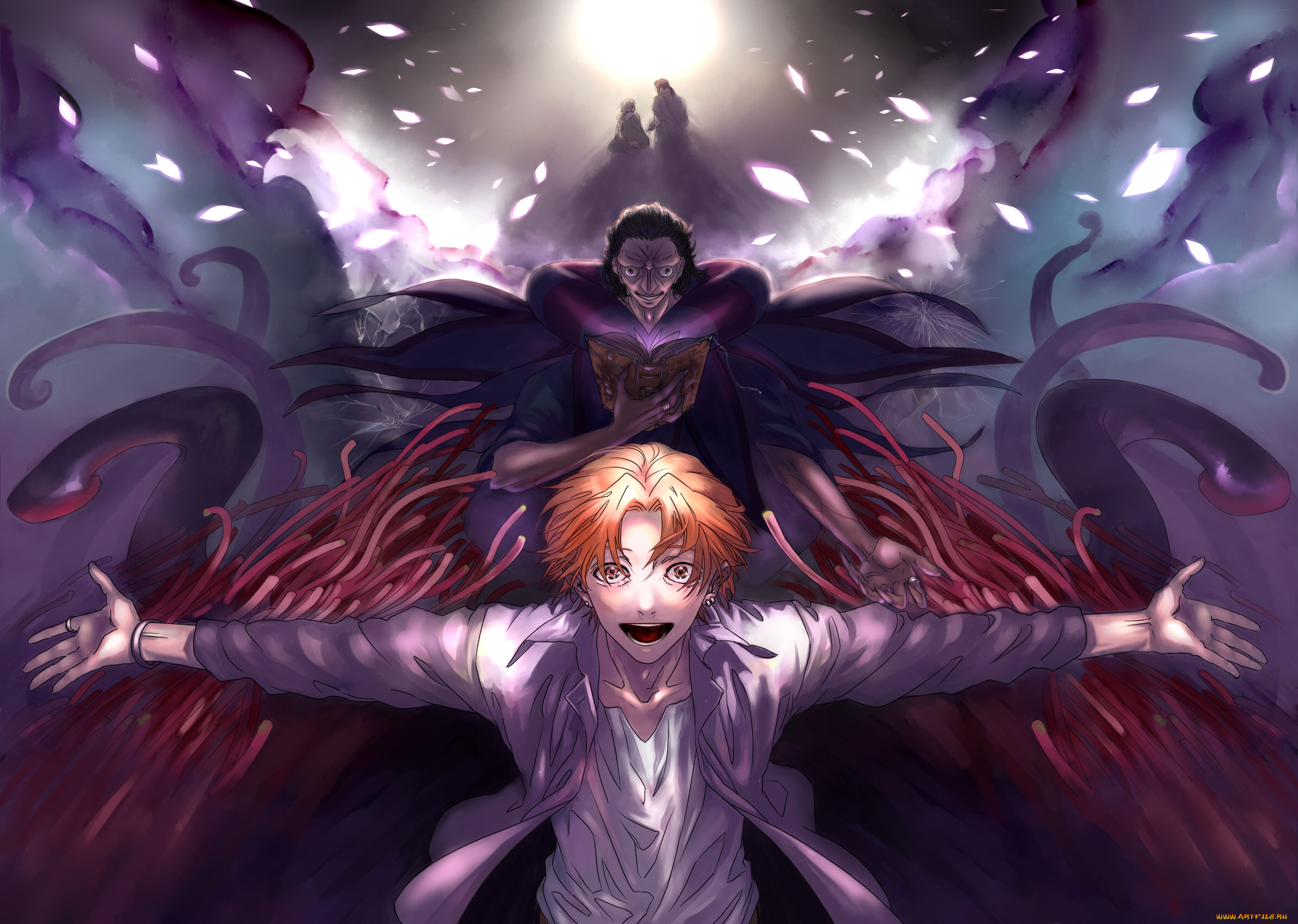 аниме, fate, zero