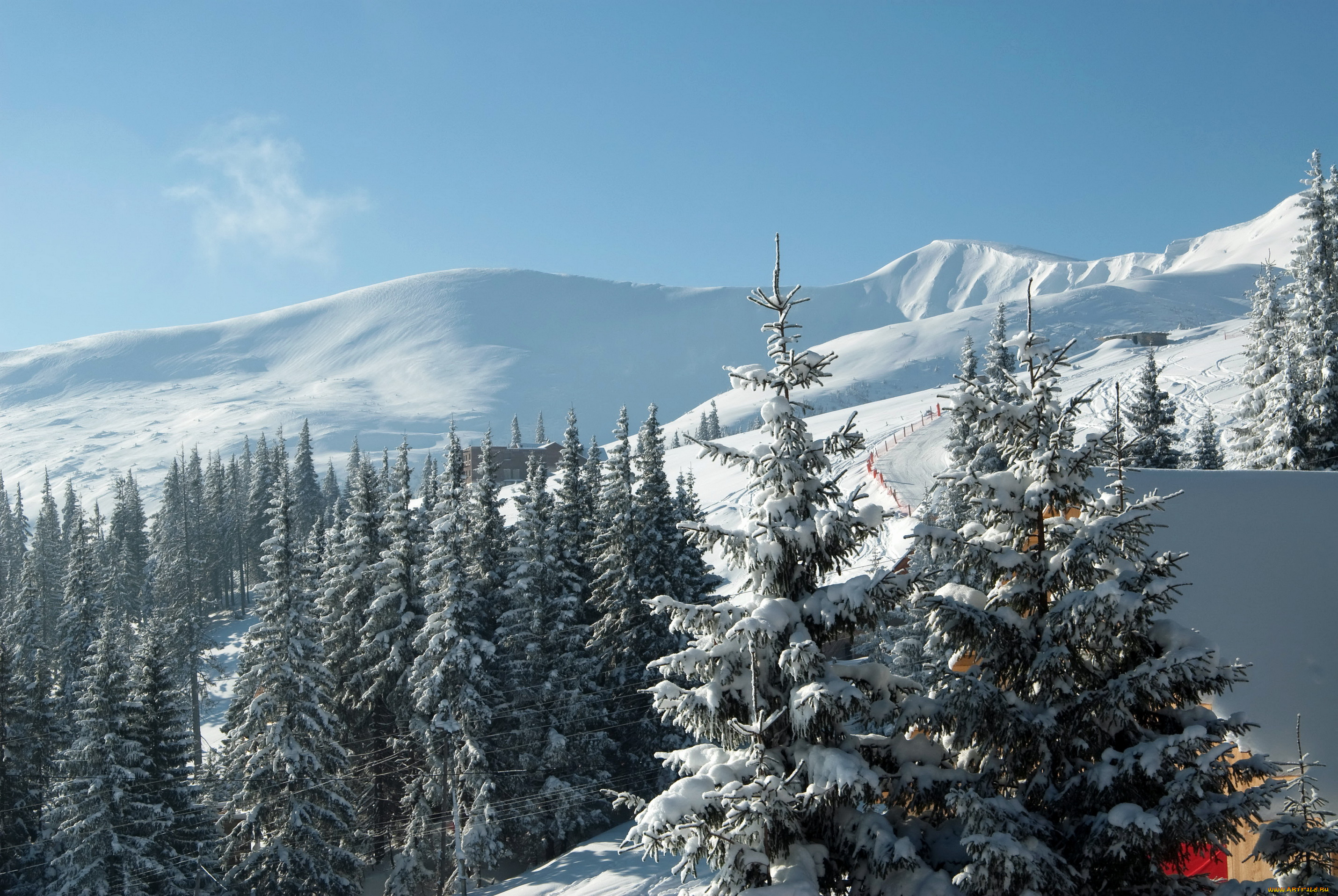 природа, зима, буковель, закарпатье, украина