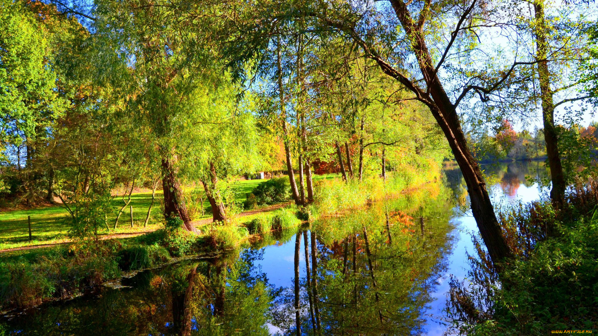 природа, реки, озера, река, деревья, отражение