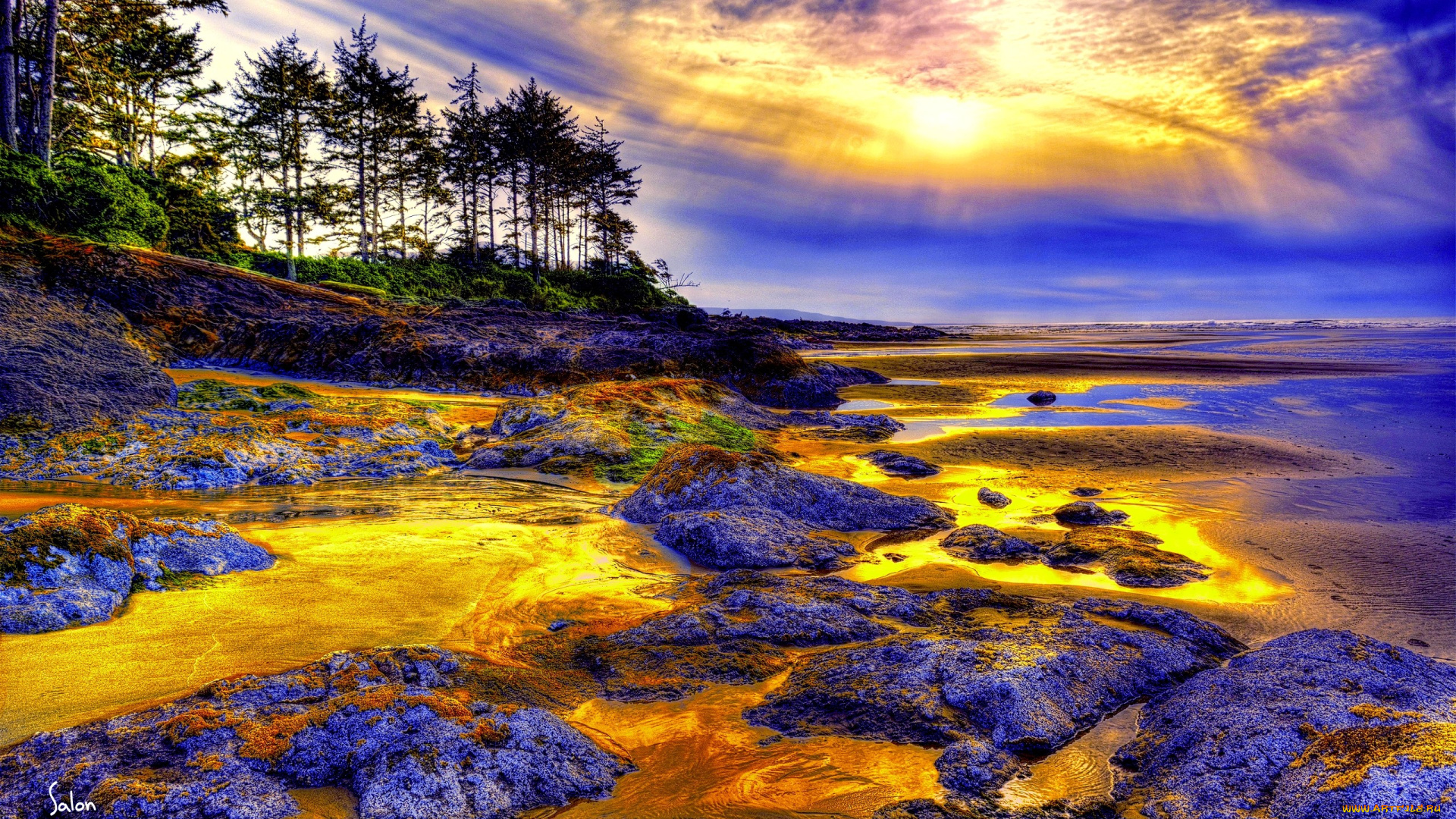 природа, восходы, закаты, горизонт, береговой, лес, камни, тина, свет, краски, океан