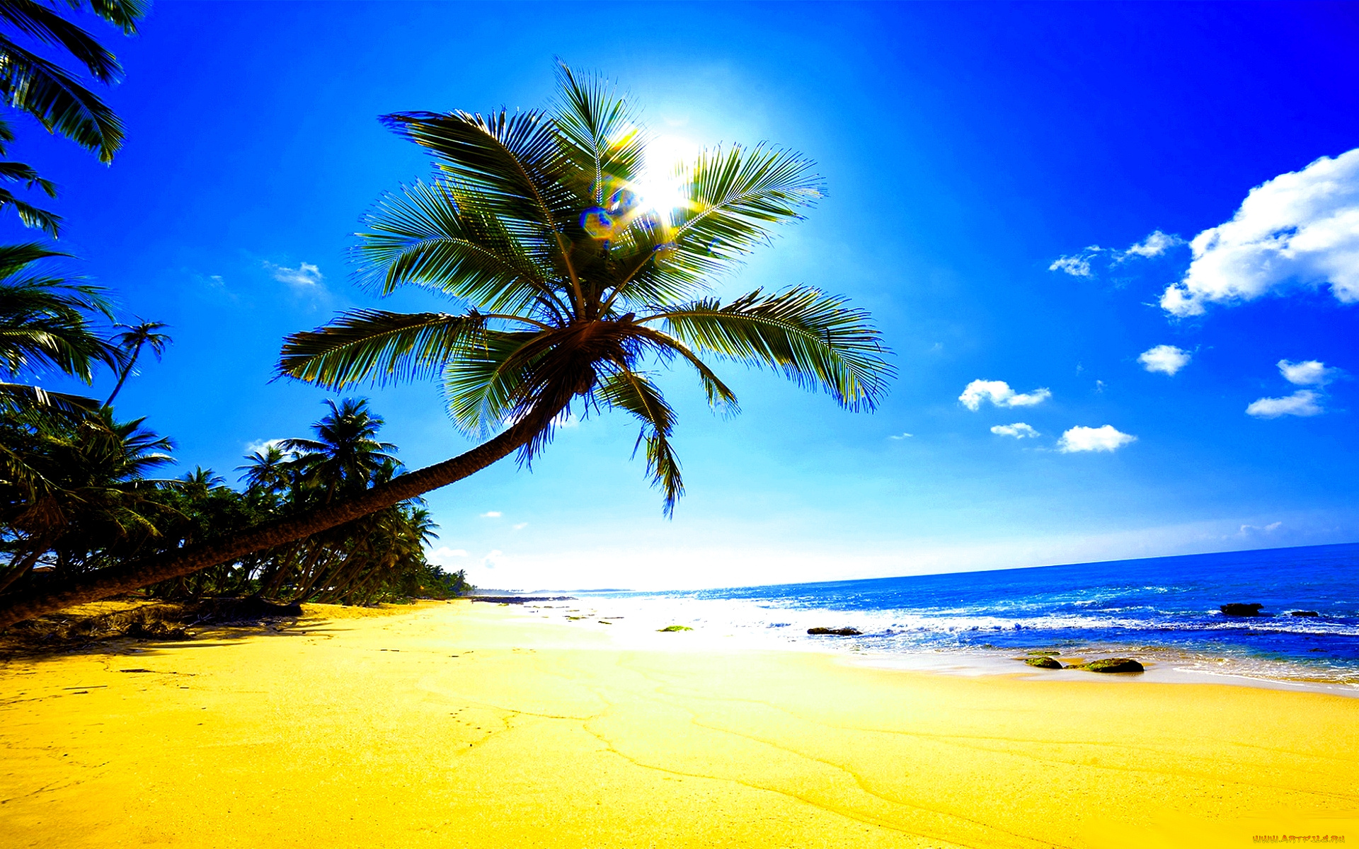 природа, тропики, пляж, песок, пальмы, солнце, блики, океан