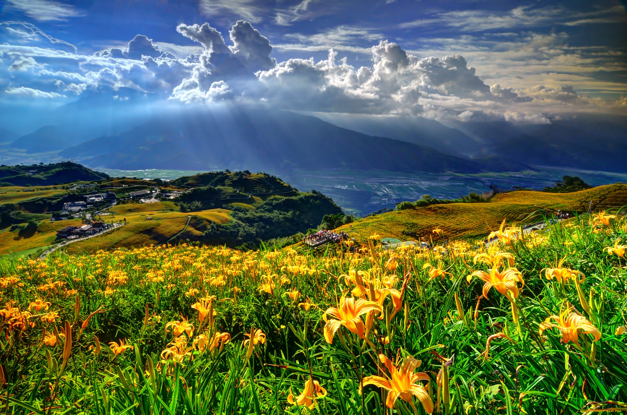 пейзаж, природа, пейзажи, горы, склон, цветы, лилии, селение, облака, лучи, солнца