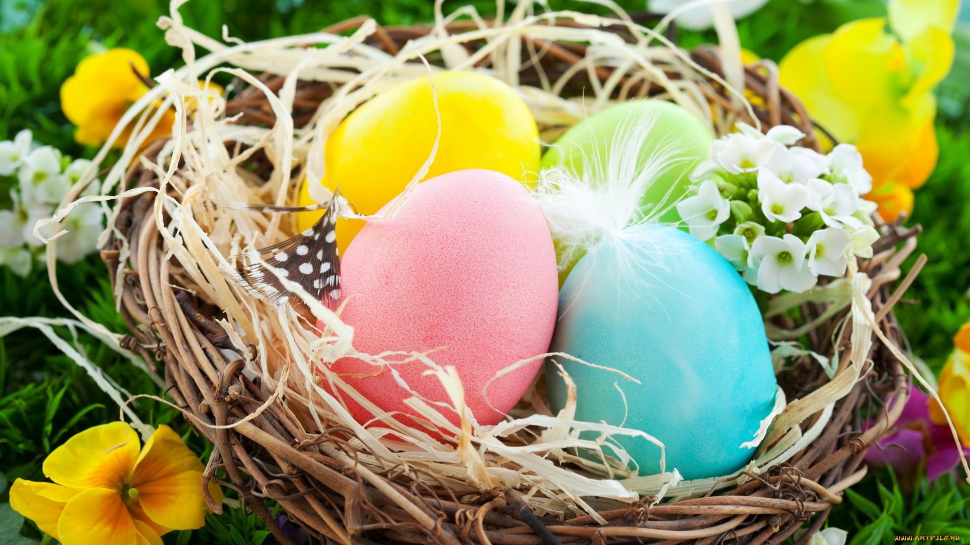 праздничные, пасха, easter, basket, nest, flowers, spring, eggs, яйца, гнездо