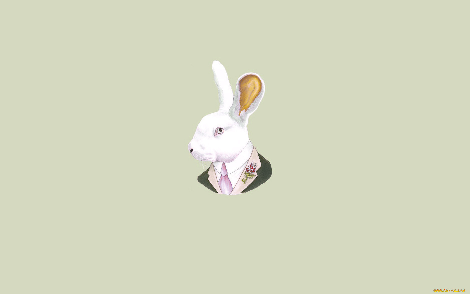Кролик в кедах без смс