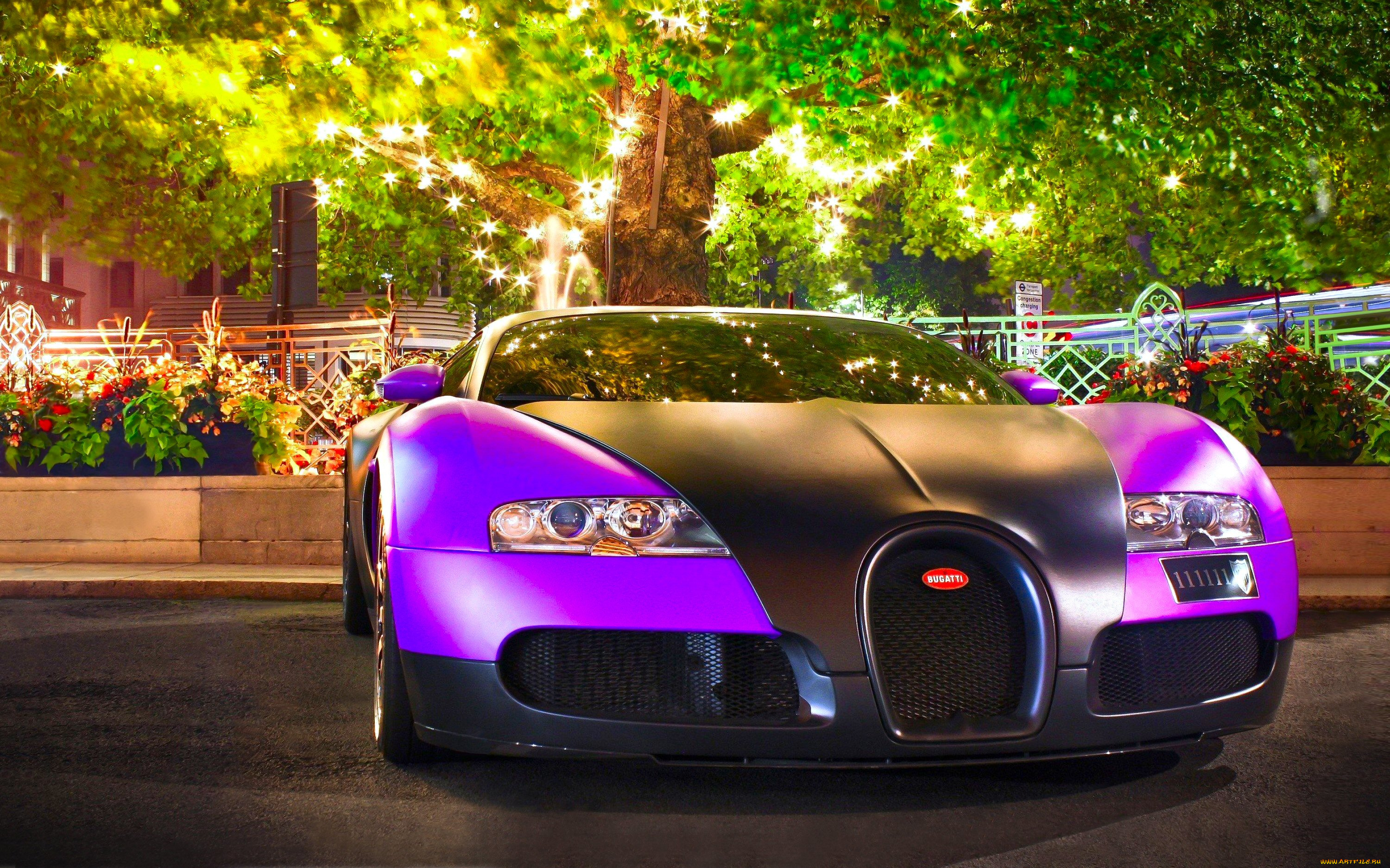 bugatti, veyron, автомобили, bugatti, франция, класс-люкс, спортивные, s, a, automobiles