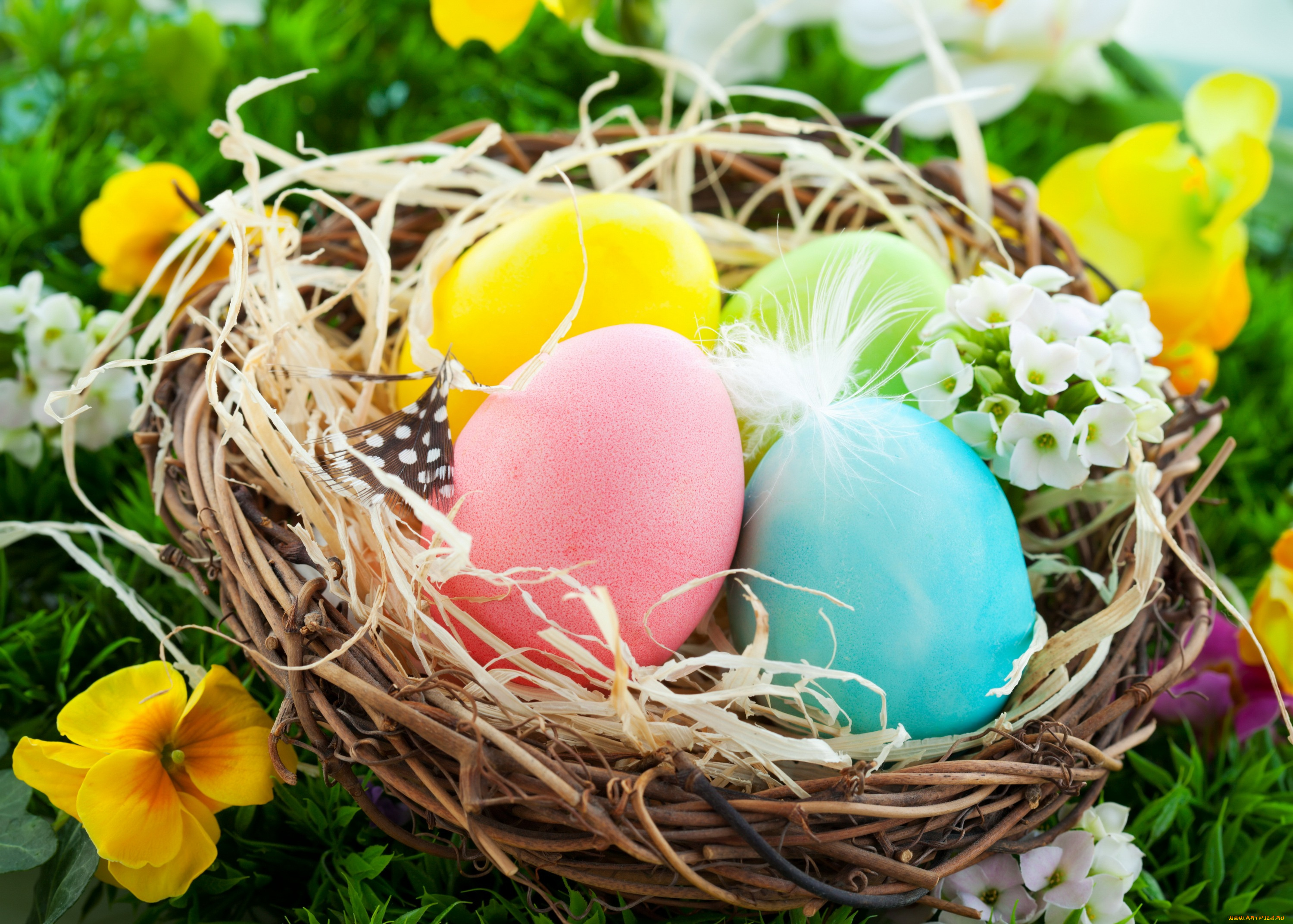 праздничные, пасха, easter, basket, nest, flowers, spring, eggs, яйца, гнездо