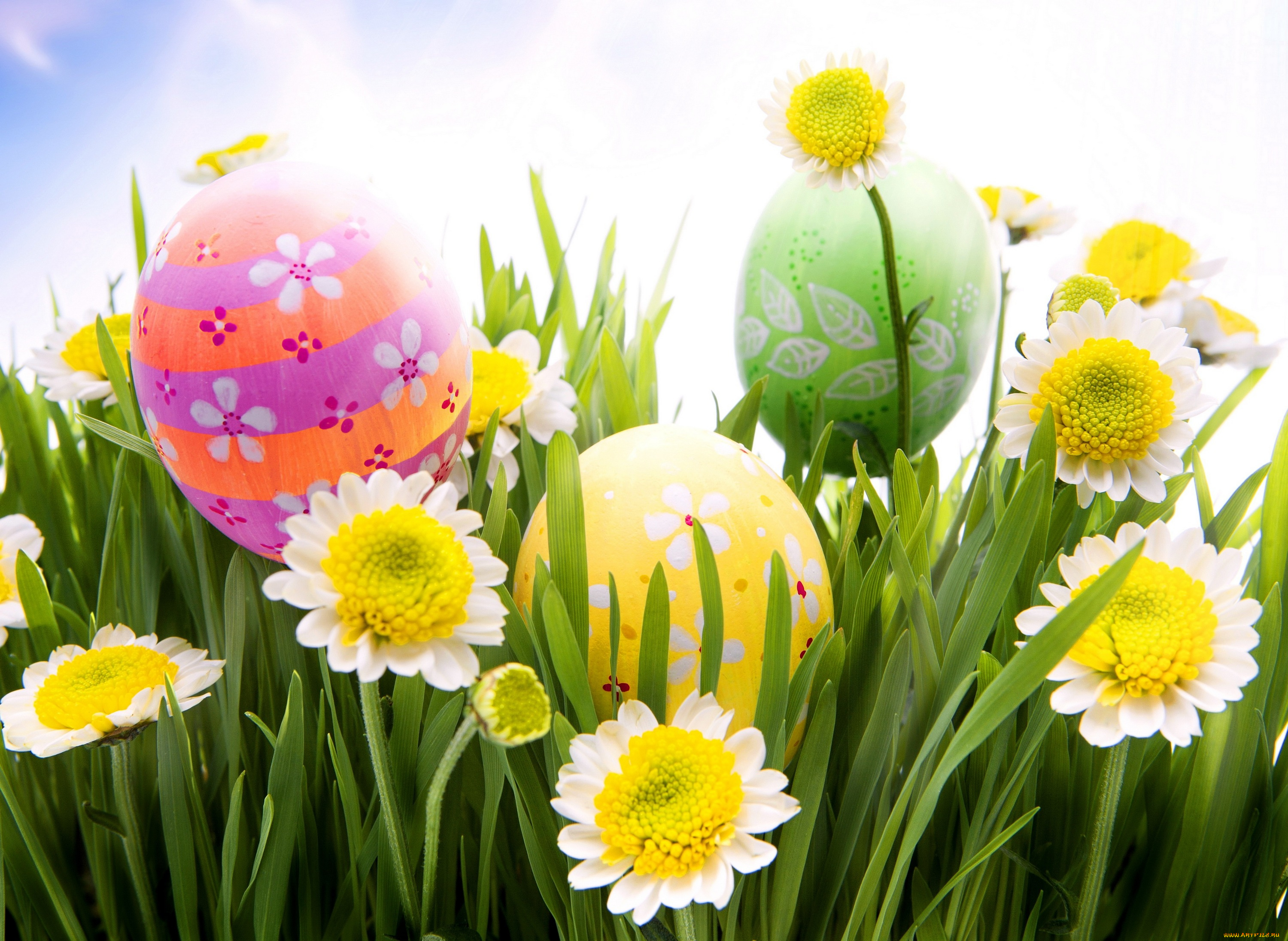 праздничные, пасха, easter, spring, sunshine, meadow, grass, flowers, eggs, camomile, daisy, весна, трава, ромашки, яйца, цветы