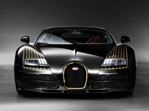 обоя автомобили, bugatti, 2014г, black, bess, vitesse, roadster, sport, grand, veyron, темный
