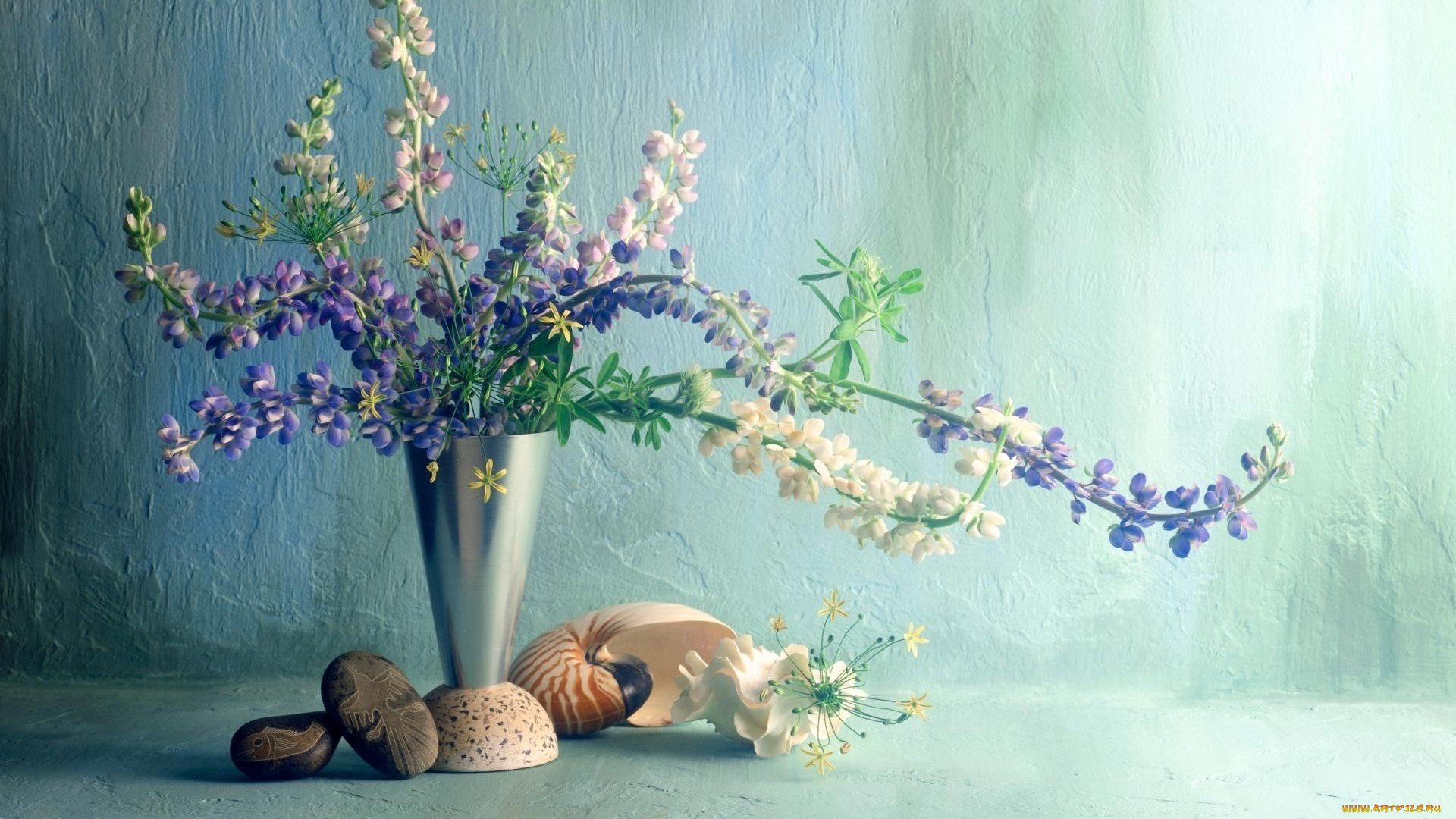 цветы, букеты, , композиции, стена, галька, ракушки, ваза, букет