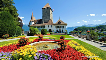 Vineyard at Sunset, Munot Castle, Schaffhausen, Switzerland загрузить